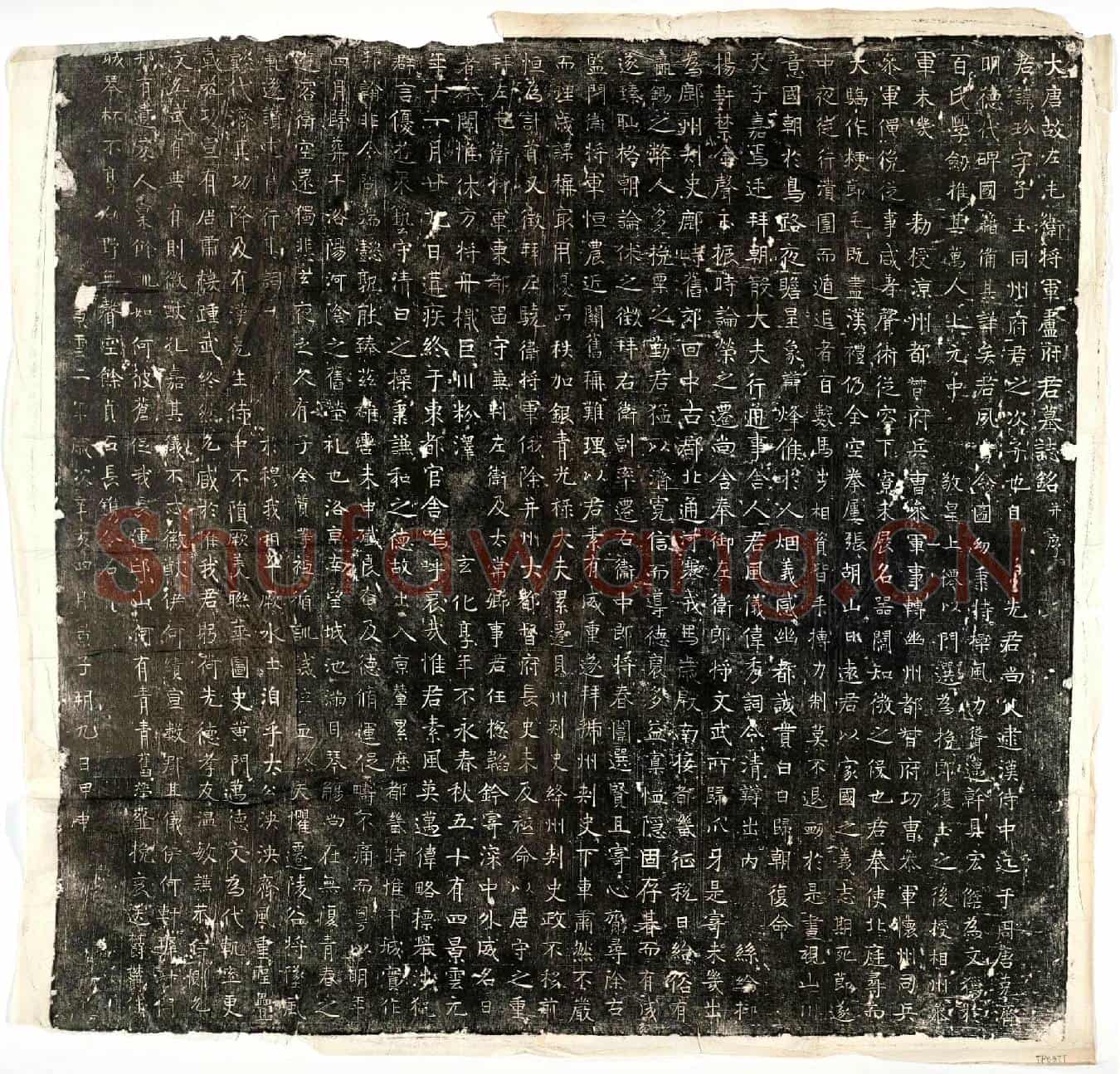 唐卢玢墓誌(大唐故左屯卫将军卢府君墓誌铭并序)