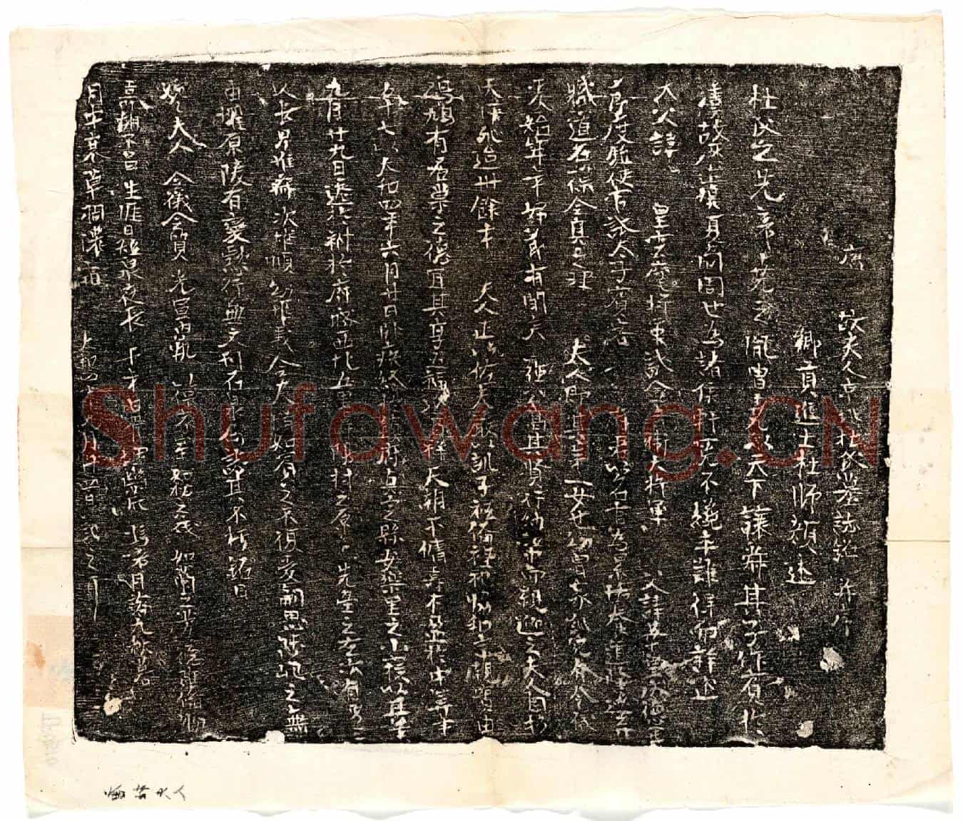 唐强君妻杜氏墓誌(唐故夫人京兆杜氏墓誌铭并序)