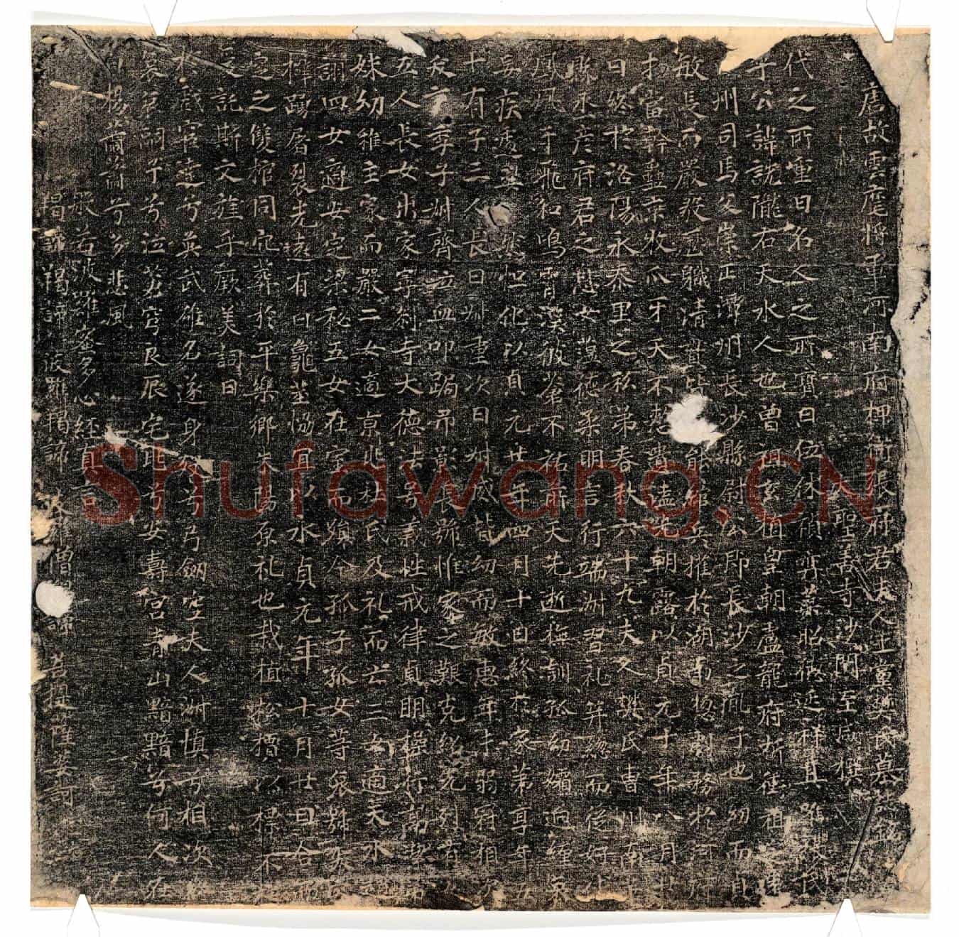 唐张诜、张诜妻樊氏墓誌(唐故云麾将军河南府押衙张府君夫人上党樊氏墓誌铭)