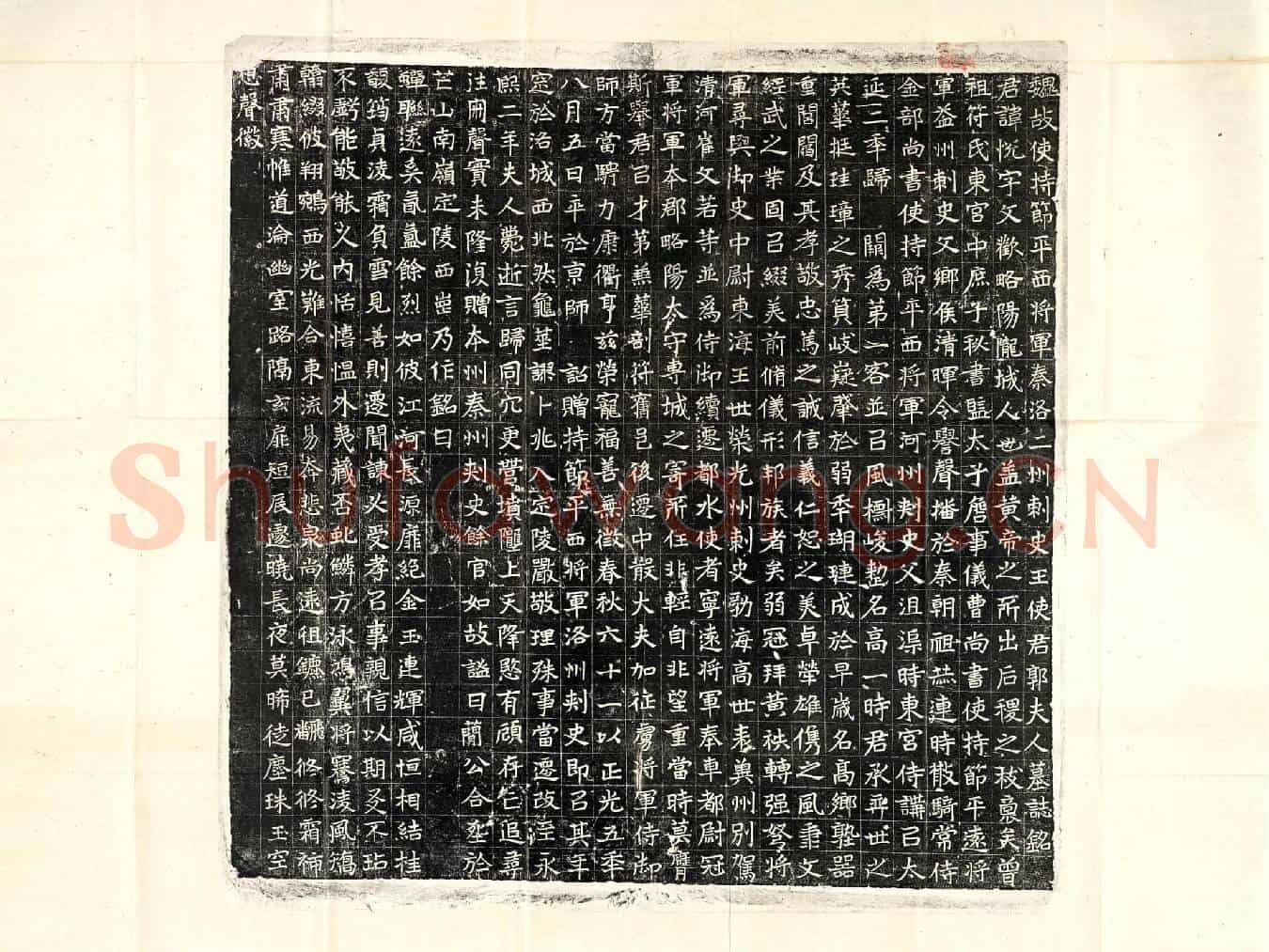 北朝王悦、王悦妻郭氏墓誌(魏故使持节平西将军秦洛二州刺史王使君郭夫人墓誌铭)