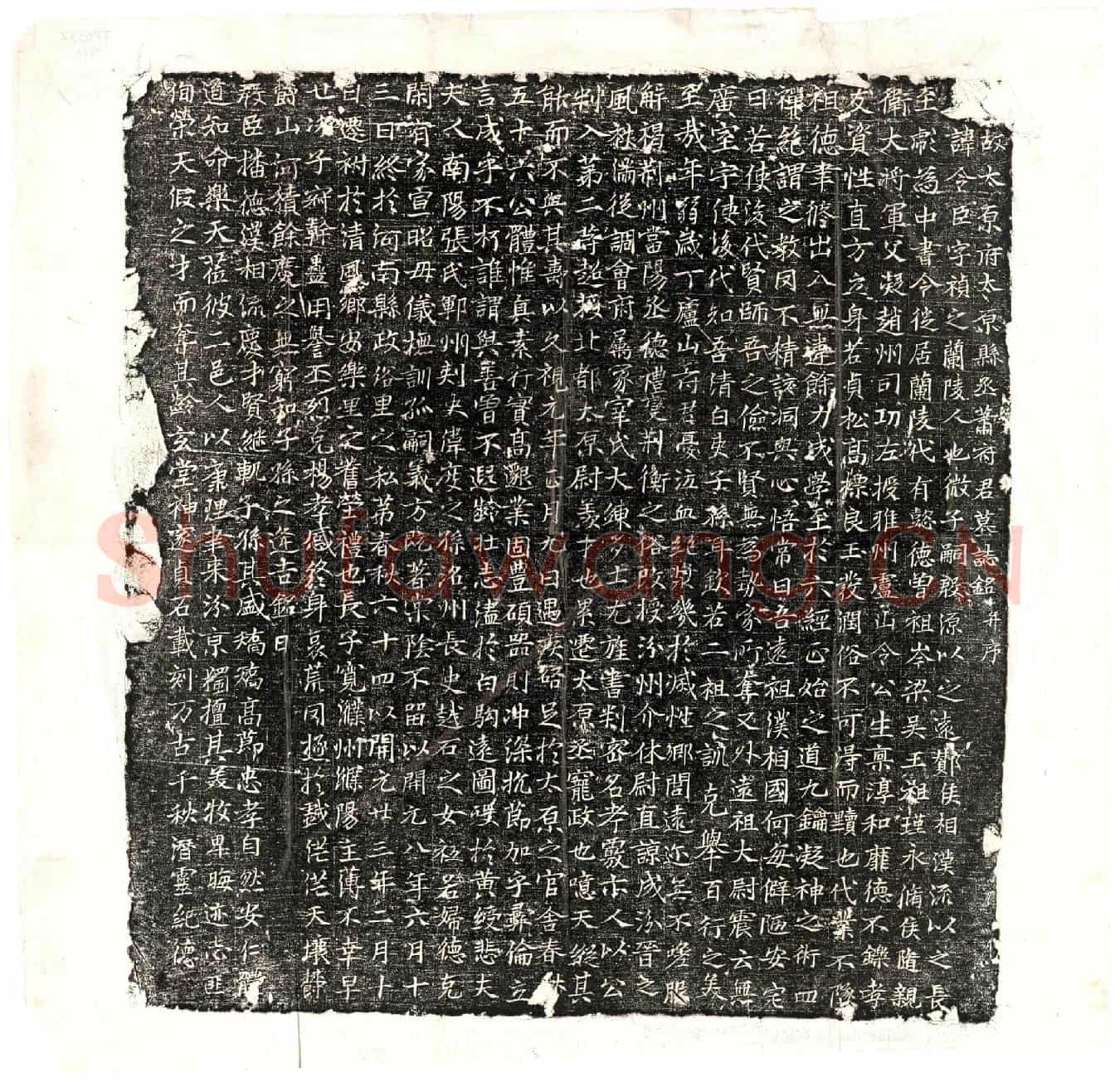 唐萧令臣墓誌(□故太原府太原县令萧府君墓誌铭并序)