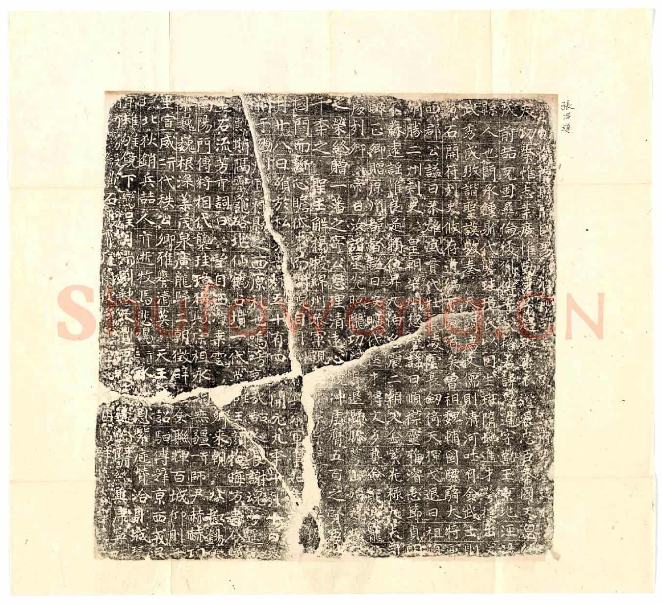 唐张思道墓誌(唐故南阳县开国男行贝州司兵参军□张府君墓誌铭)