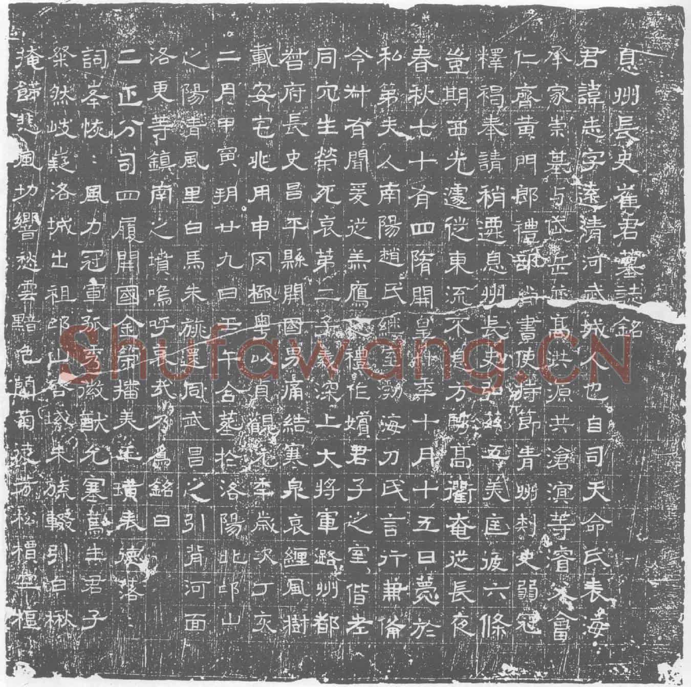 唐崔志墓誌(息州长史崔君墓誌铭)
