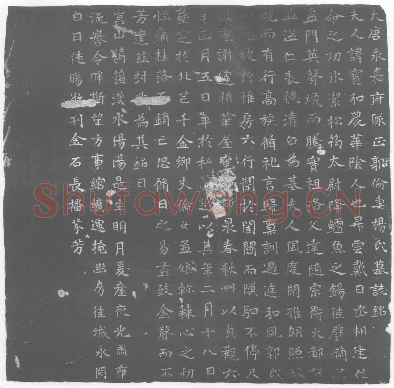 唐杨寳墓誌(大唐永嘉府队正郭伦妻杨氏墓誌铭)