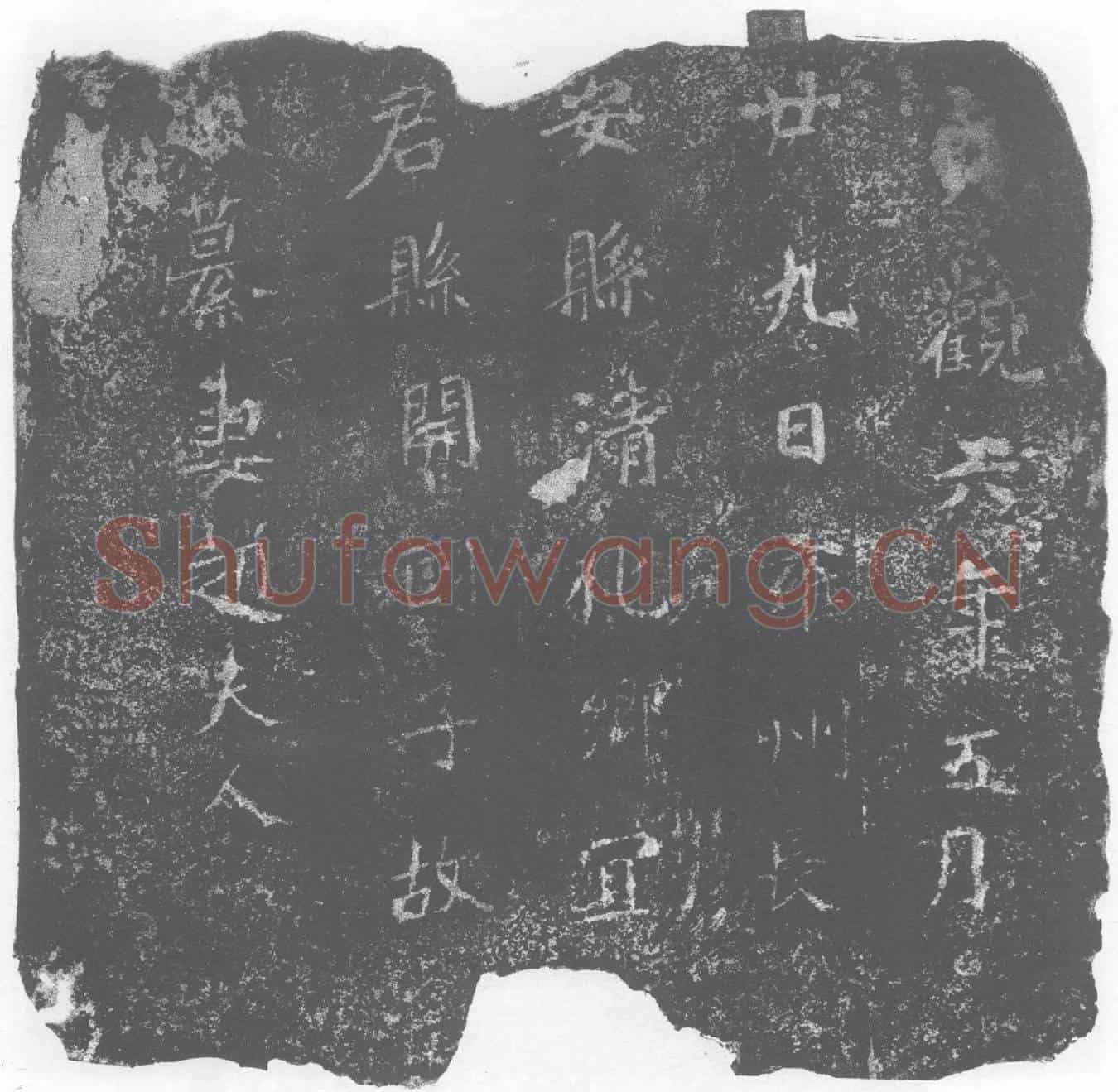 唐赵夫人墓誌(雍州长安显清化乡宜君县开国子故戚纂妻赵夫人)