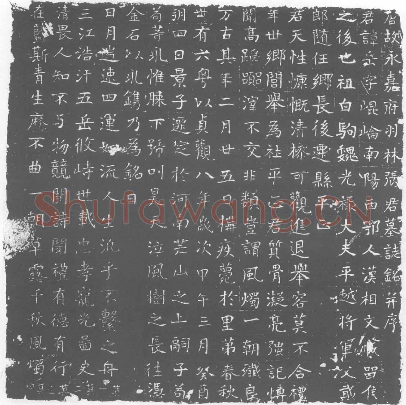唐张岳墓誌(唐故永嘉府羽林张君墓誌铭)