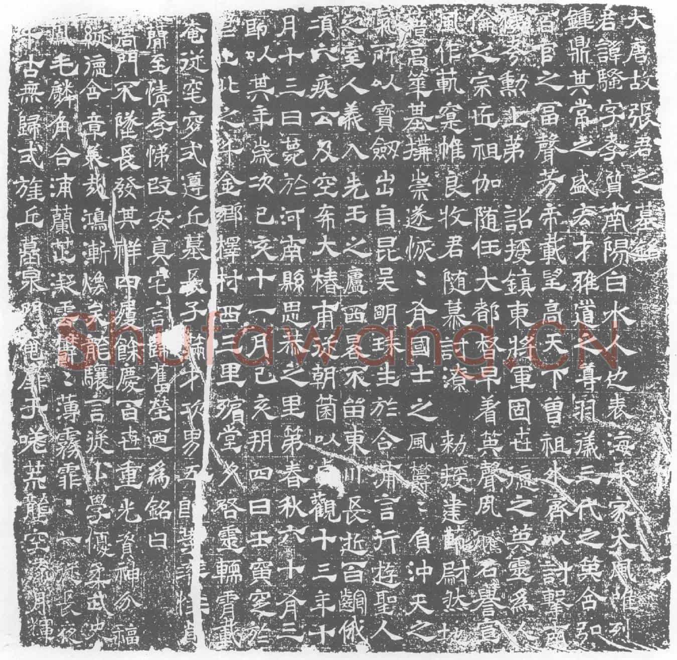 唐张骚墓誌(大唐故张君之墓铭)