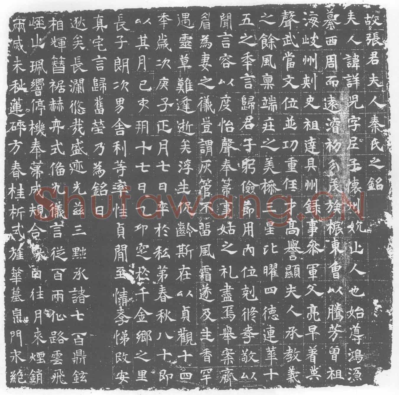 唐秦详儿墓誌(故张君夫人秦氏之铭)