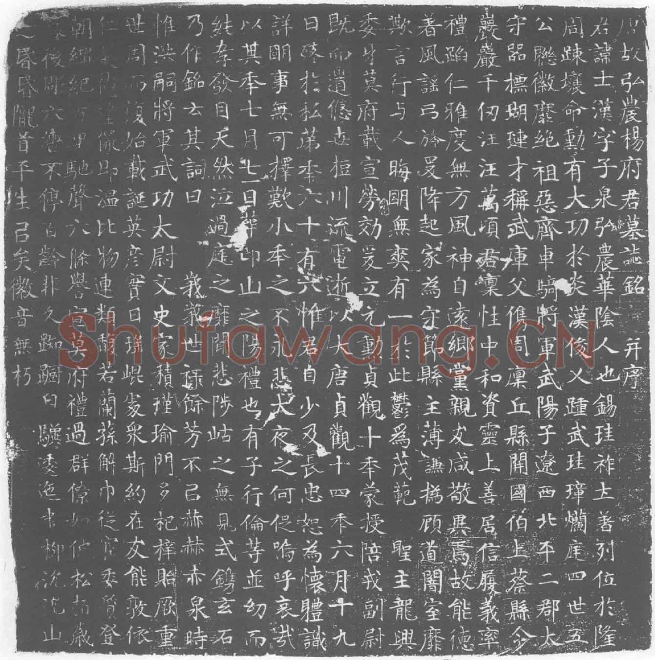 唐杨士汉墓誌(唐故弘农杨府君墓誌铭)