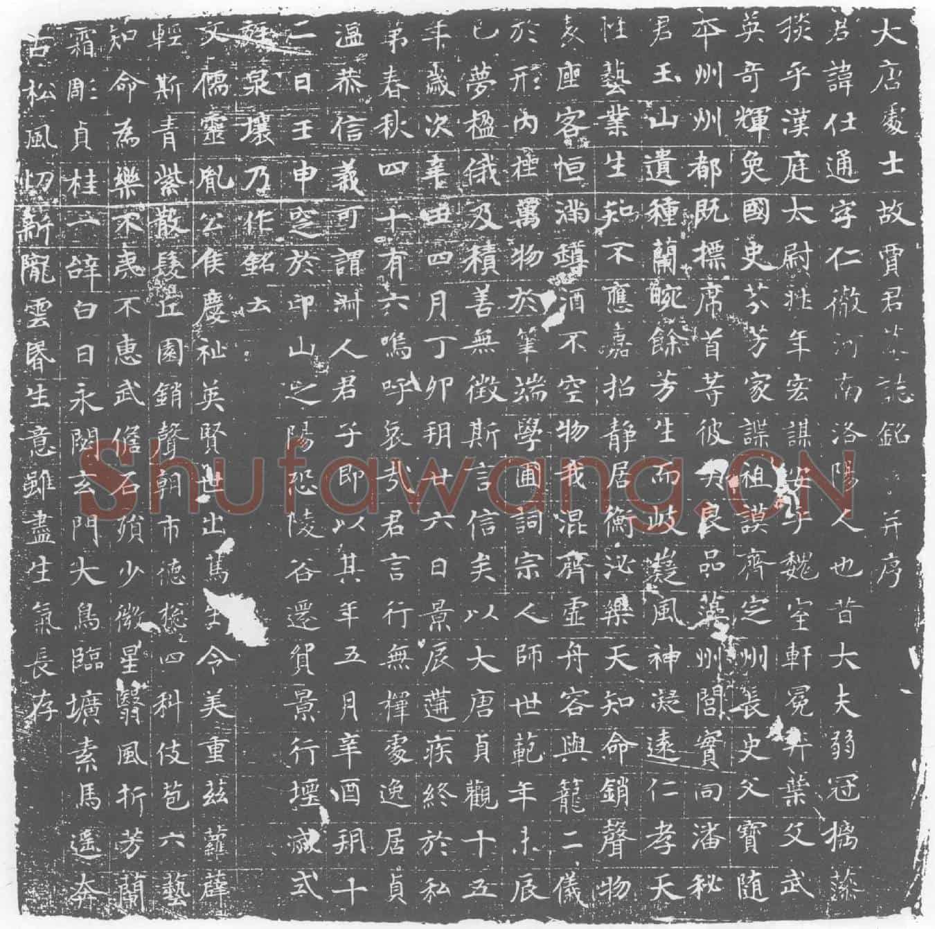 唐贾仕通墓誌(大唐处士故贾君墓誌铭)