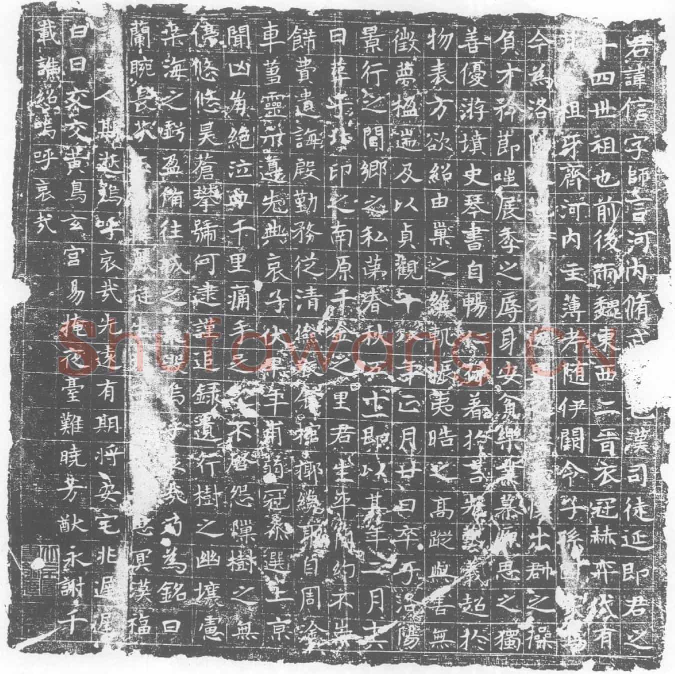 唐冯信墓誌(（冯）君讳信字师言河内脩武人)