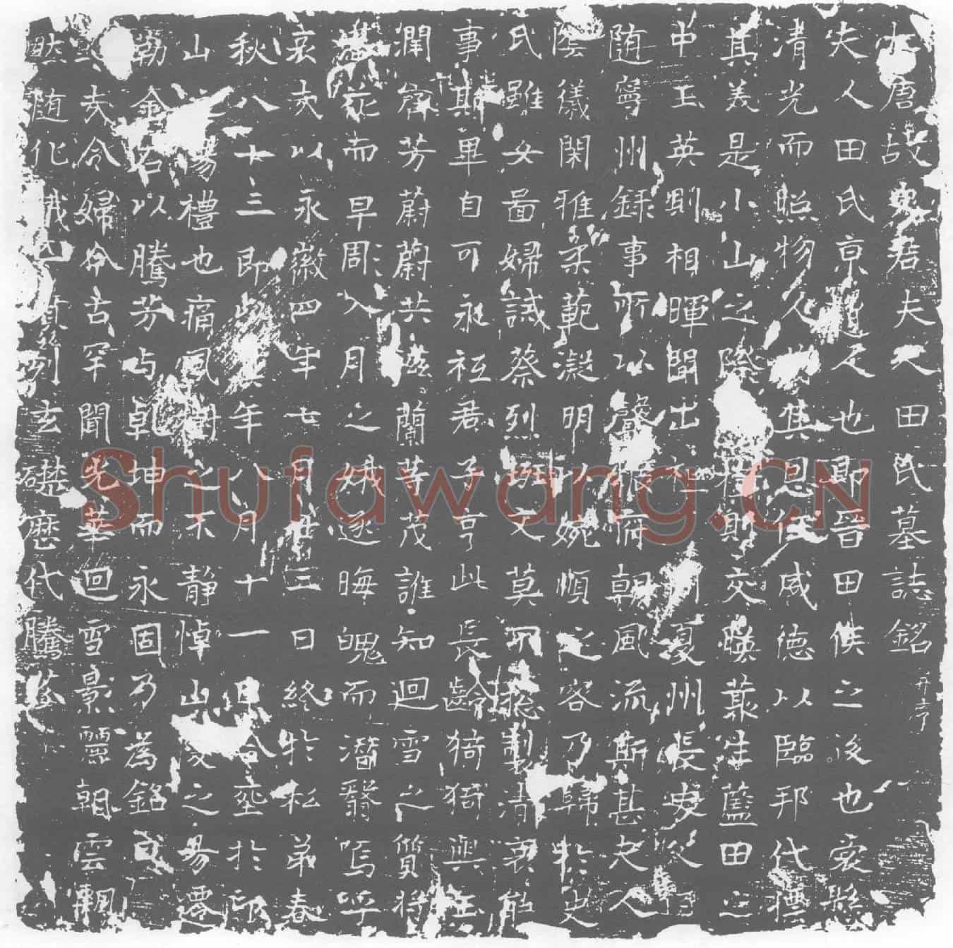 唐墓誌