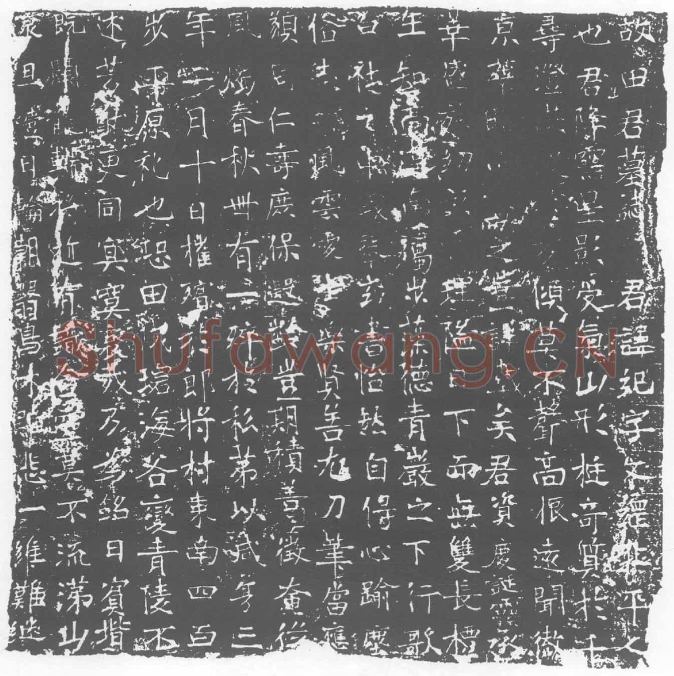 唐墓誌