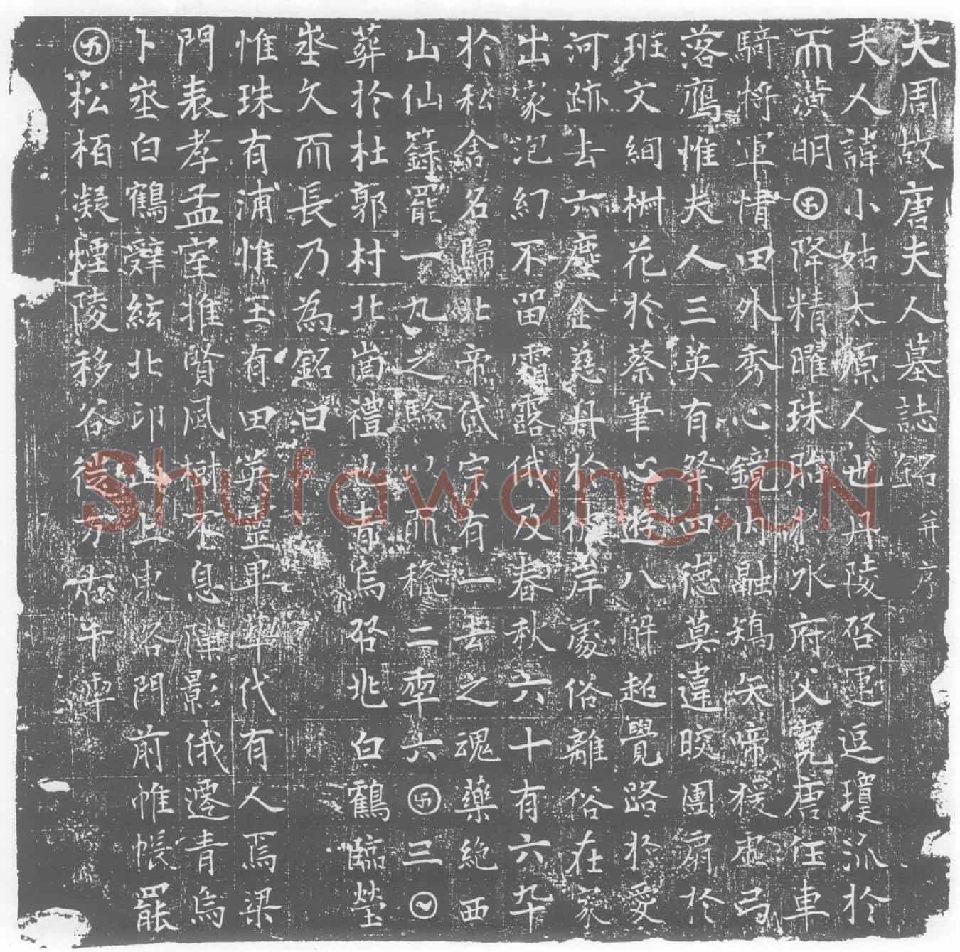 唐墓誌