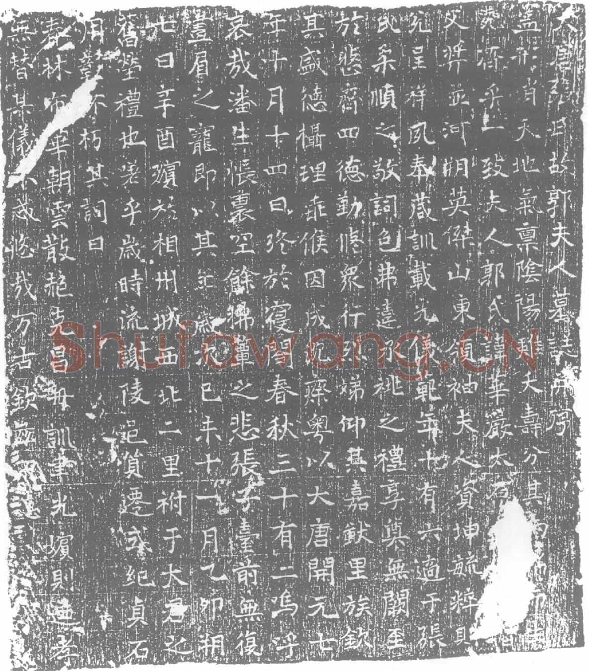 唐墓誌