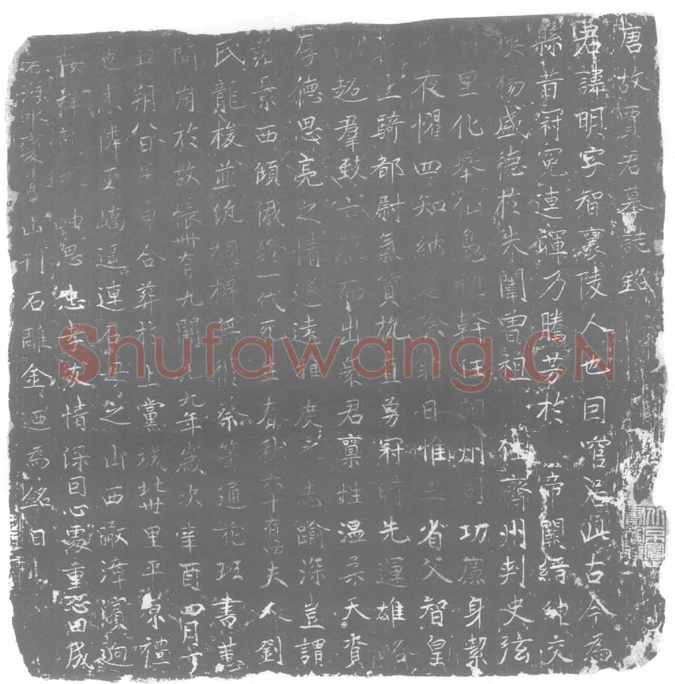 唐墓誌