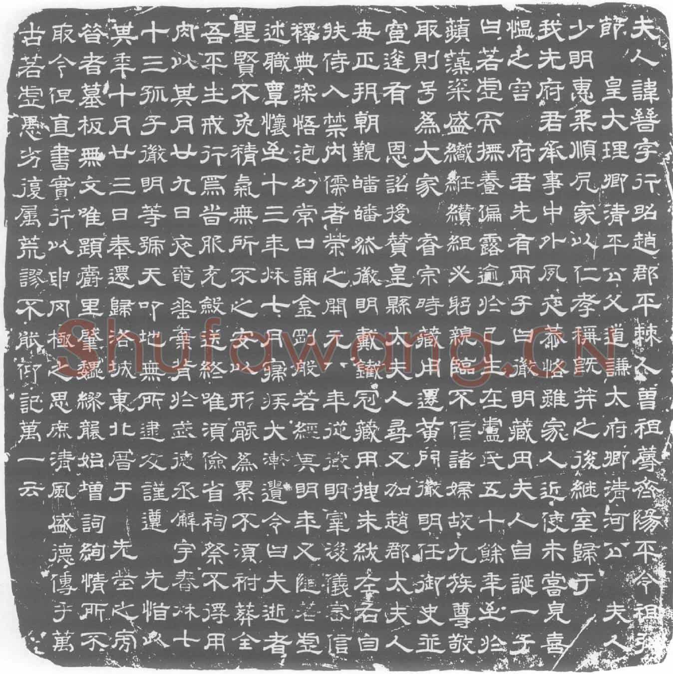 唐夫人名晋，字行昭墓誌
