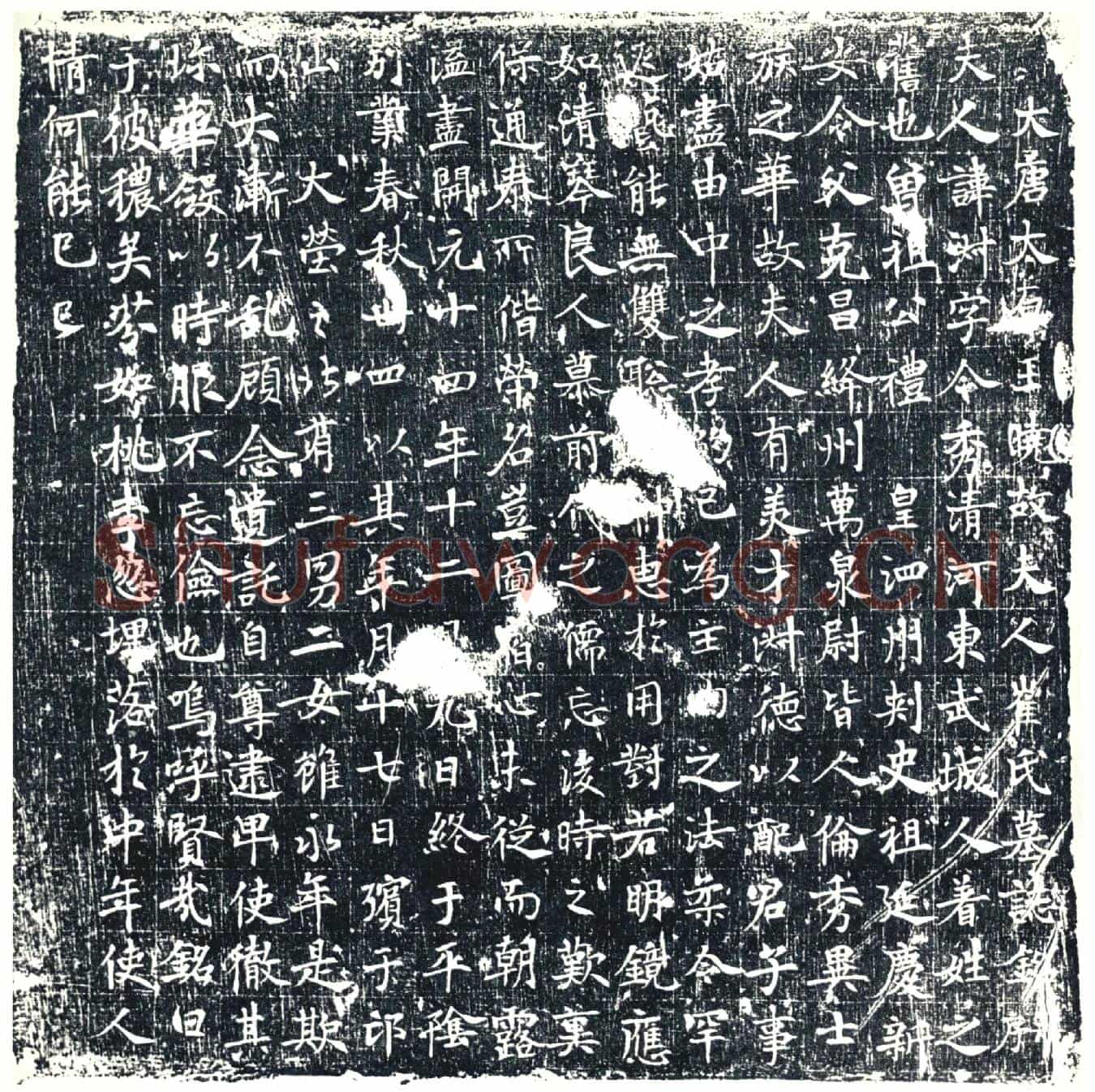 唐崔淑墓誌