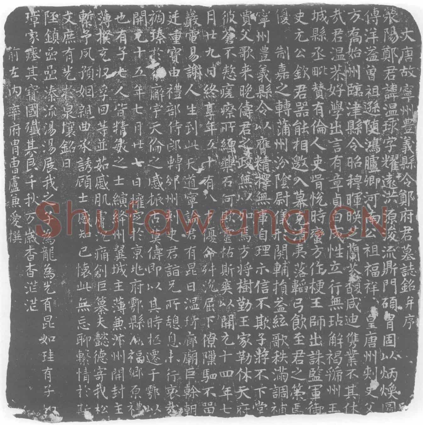唐郑温球墓誌