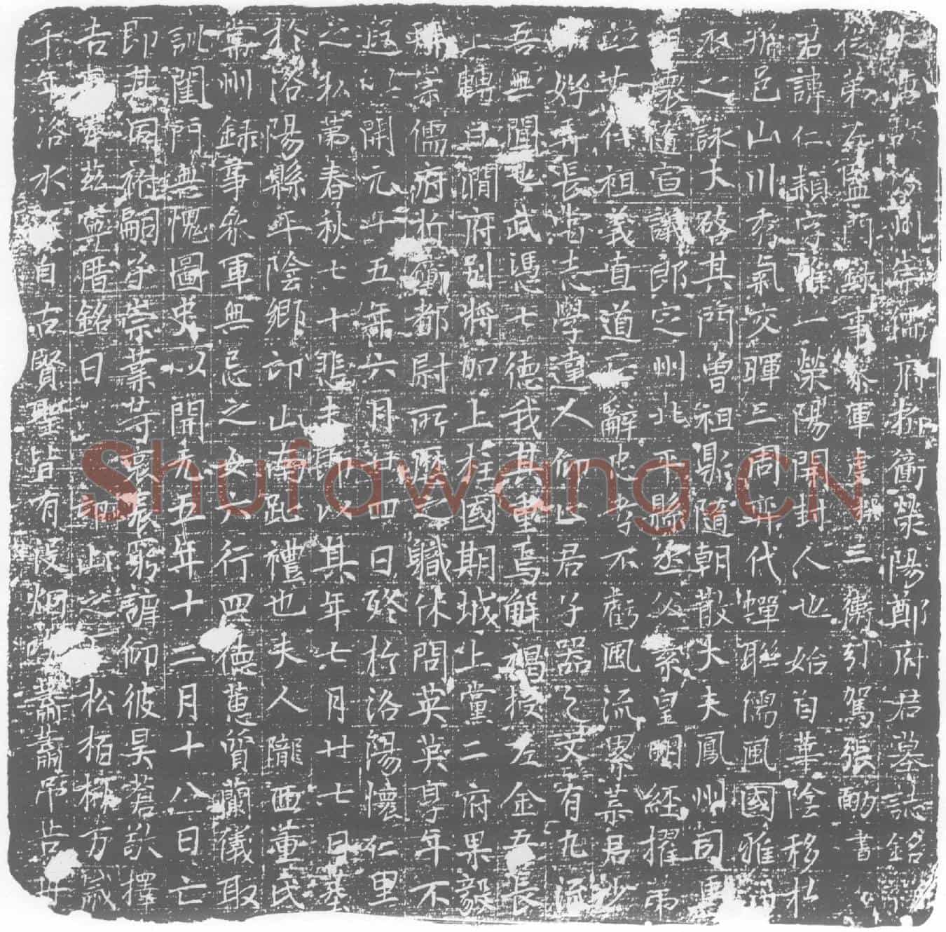 唐郑仁颖墓誌