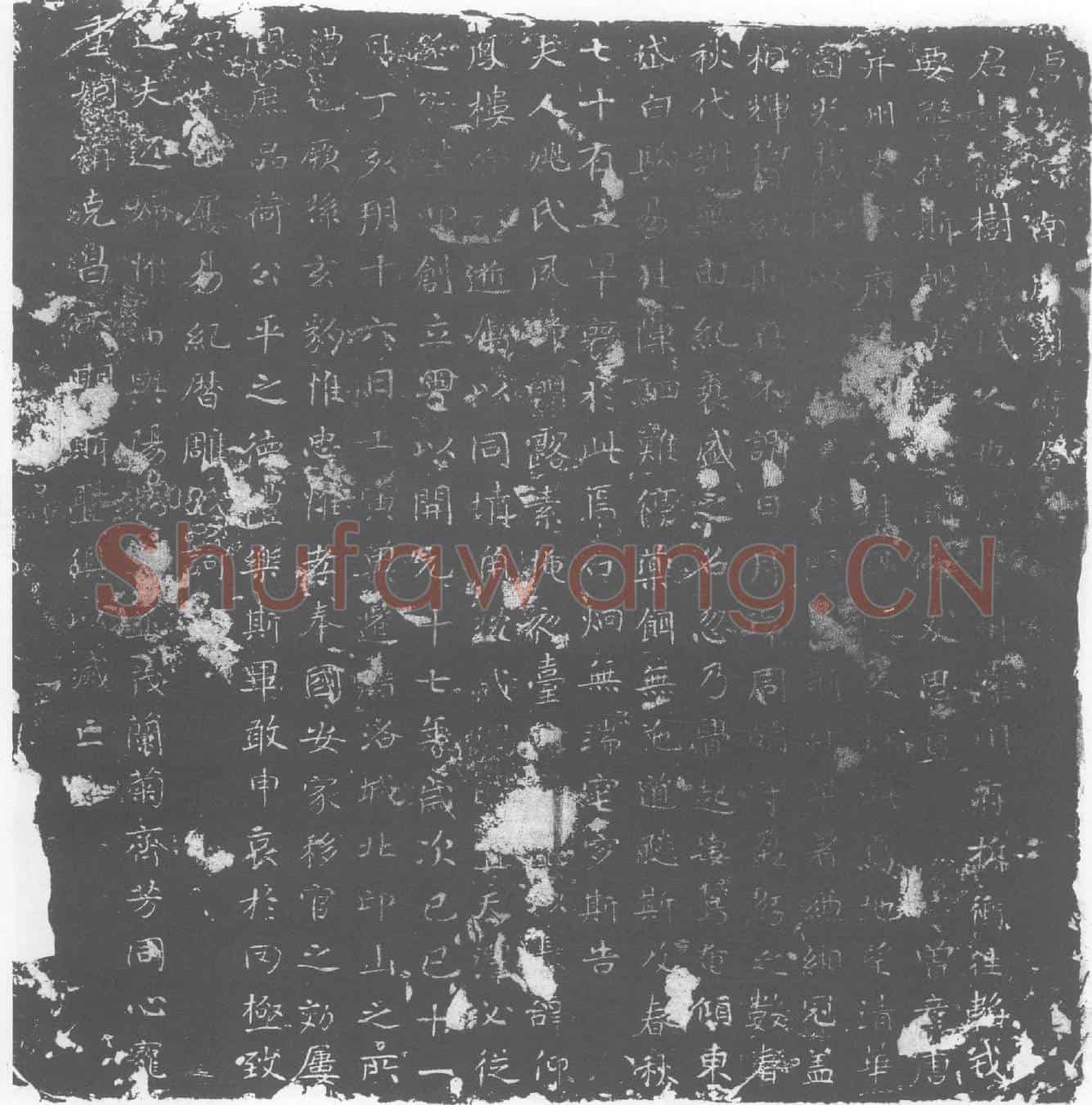 唐刘龙树墓誌