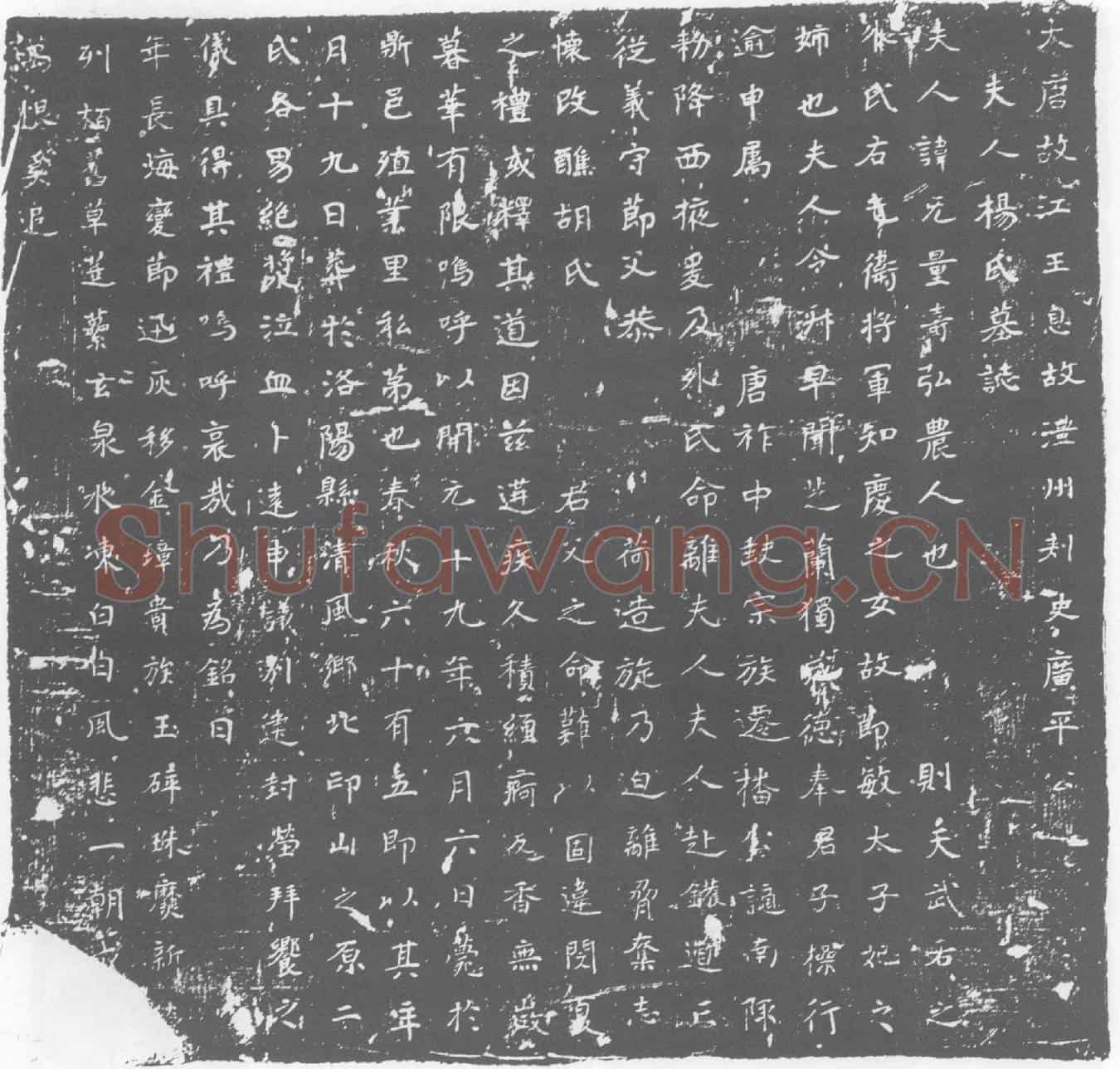 唐杨氏墓誌