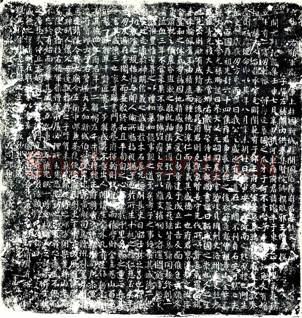 唐薛璿墓誌