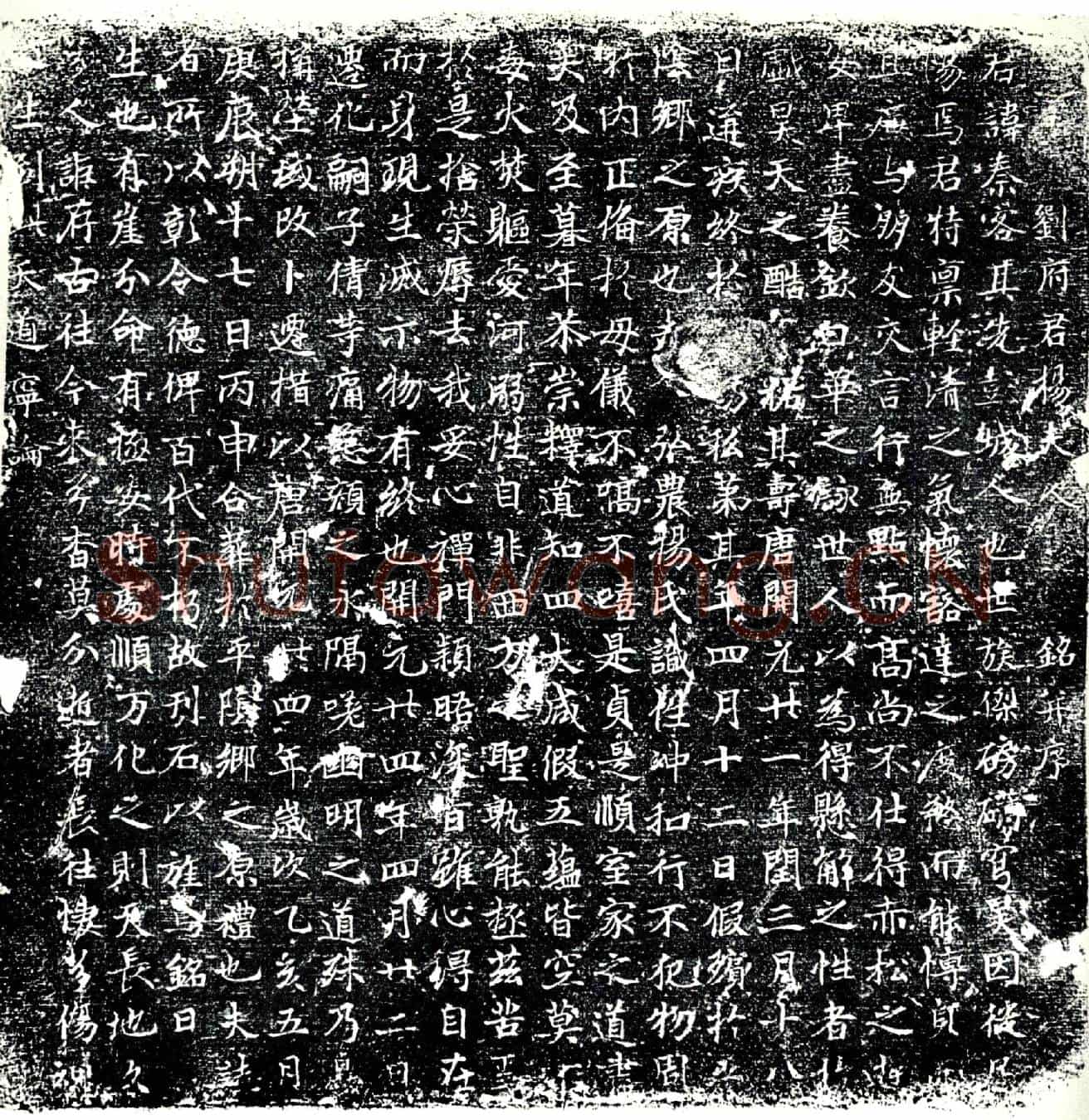 唐杨秦客墓誌