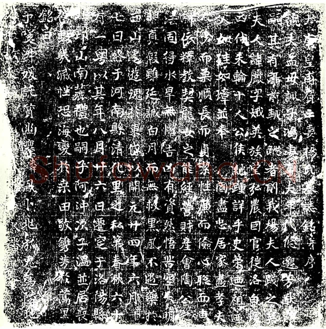 唐杨丽墓誌