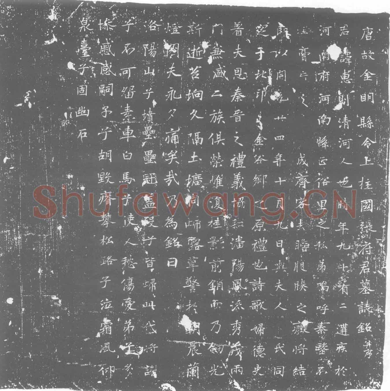 唐张惠则墓誌
