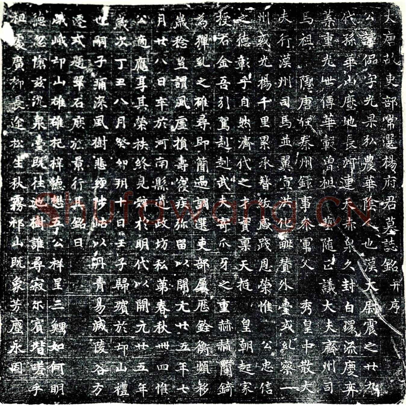 唐杨偘墓誌