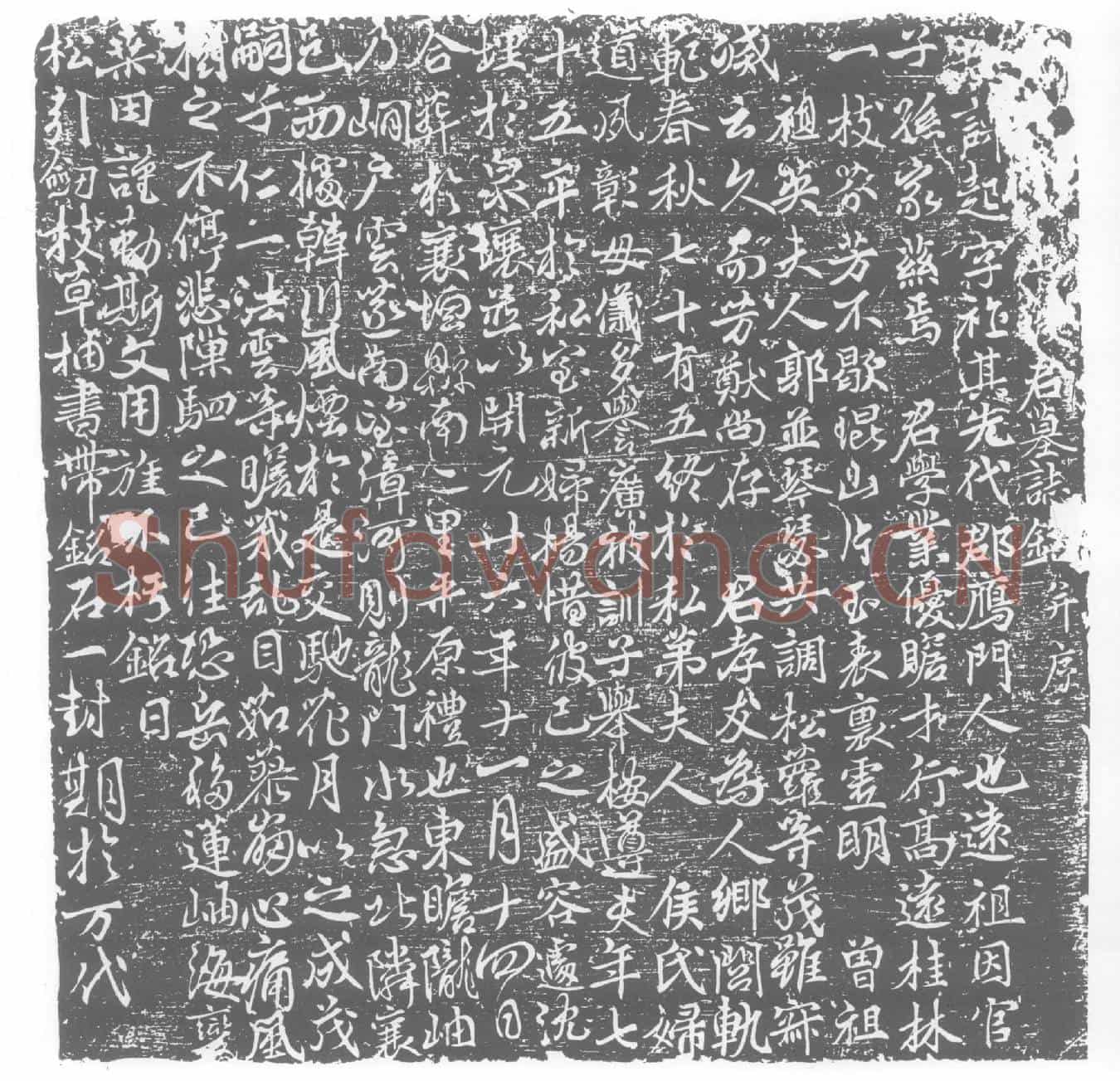 唐张起墓誌