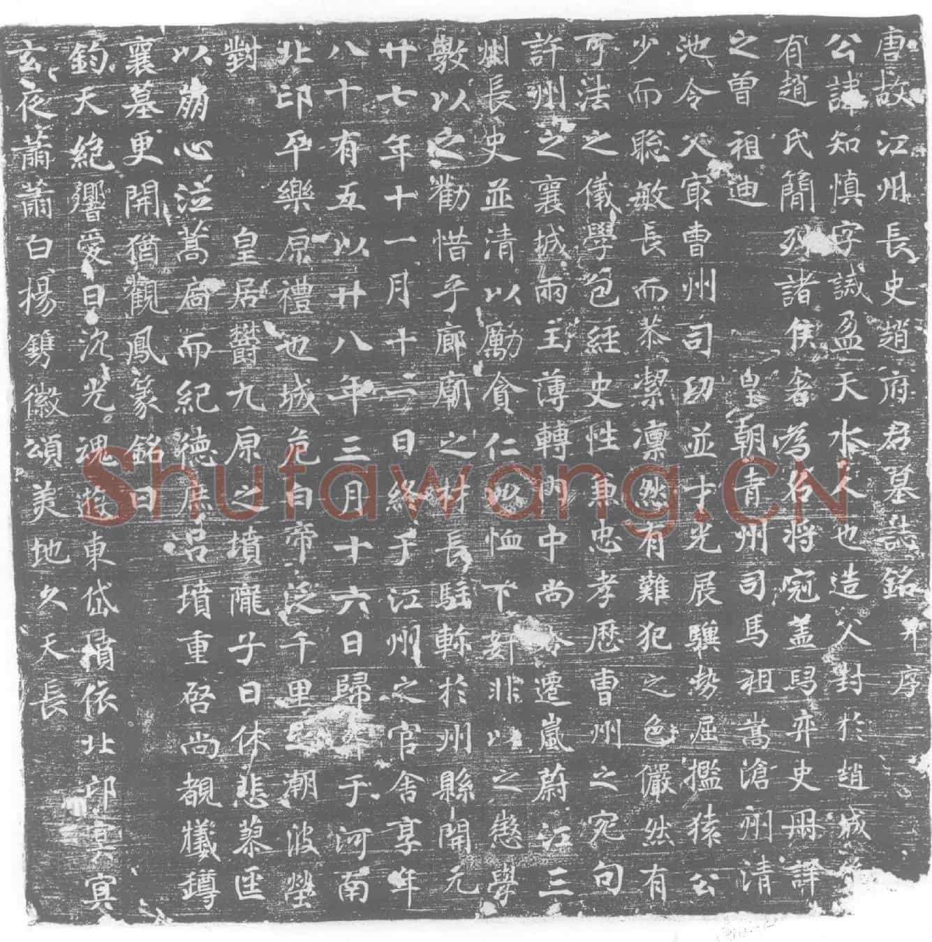 唐赵知慎墓誌