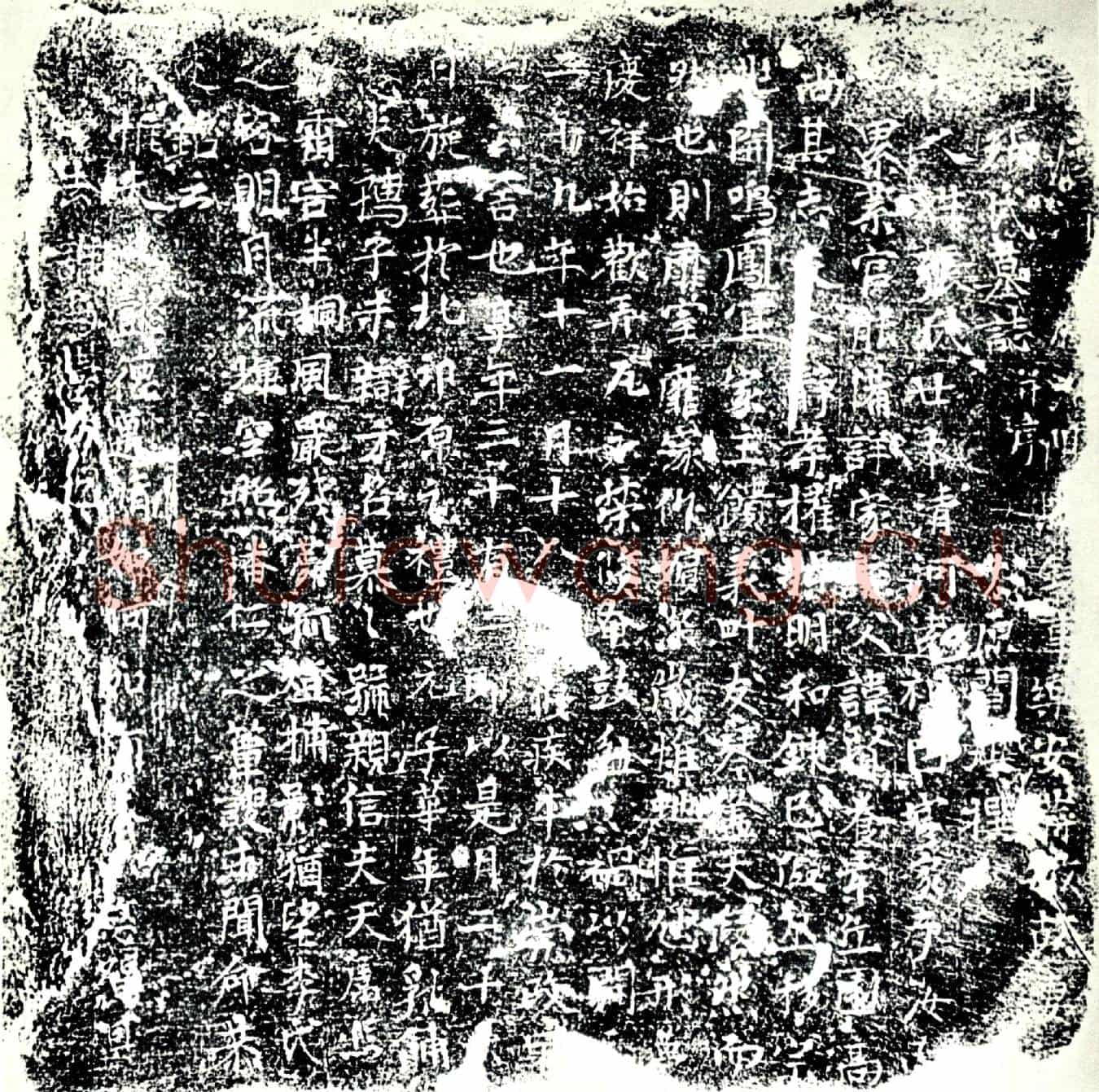 唐张氏，蒋敏妻墓誌