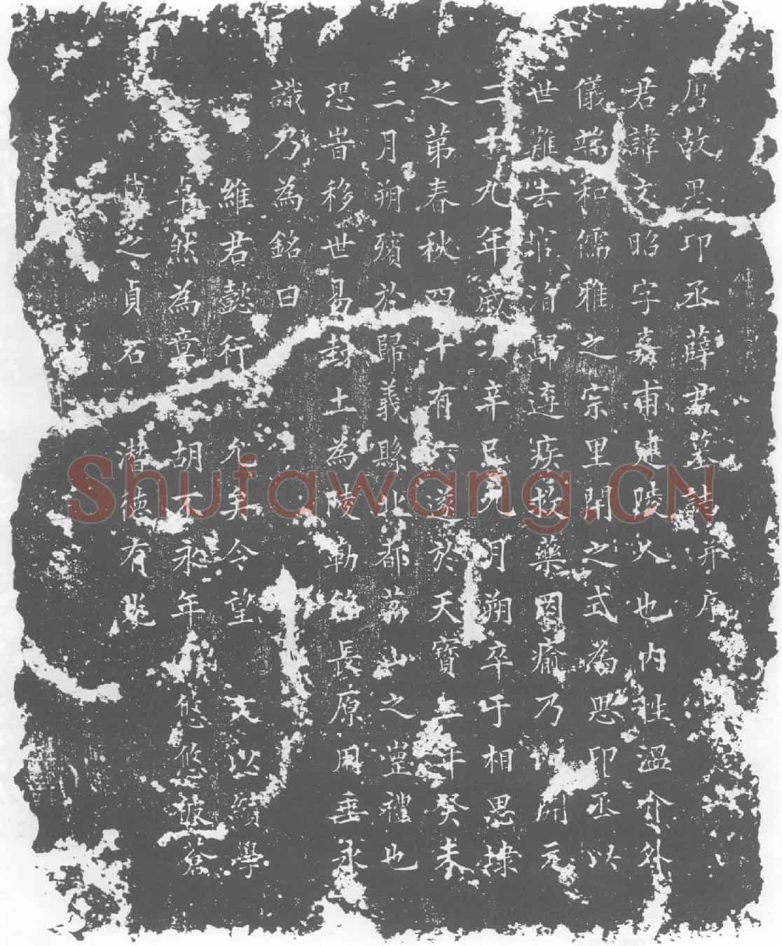 唐薛文昭墓誌