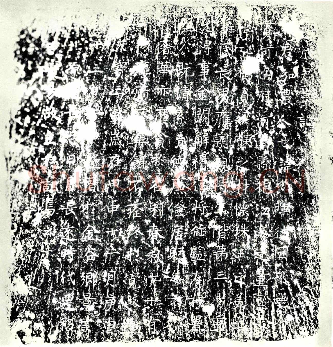 唐杨令晖墓誌