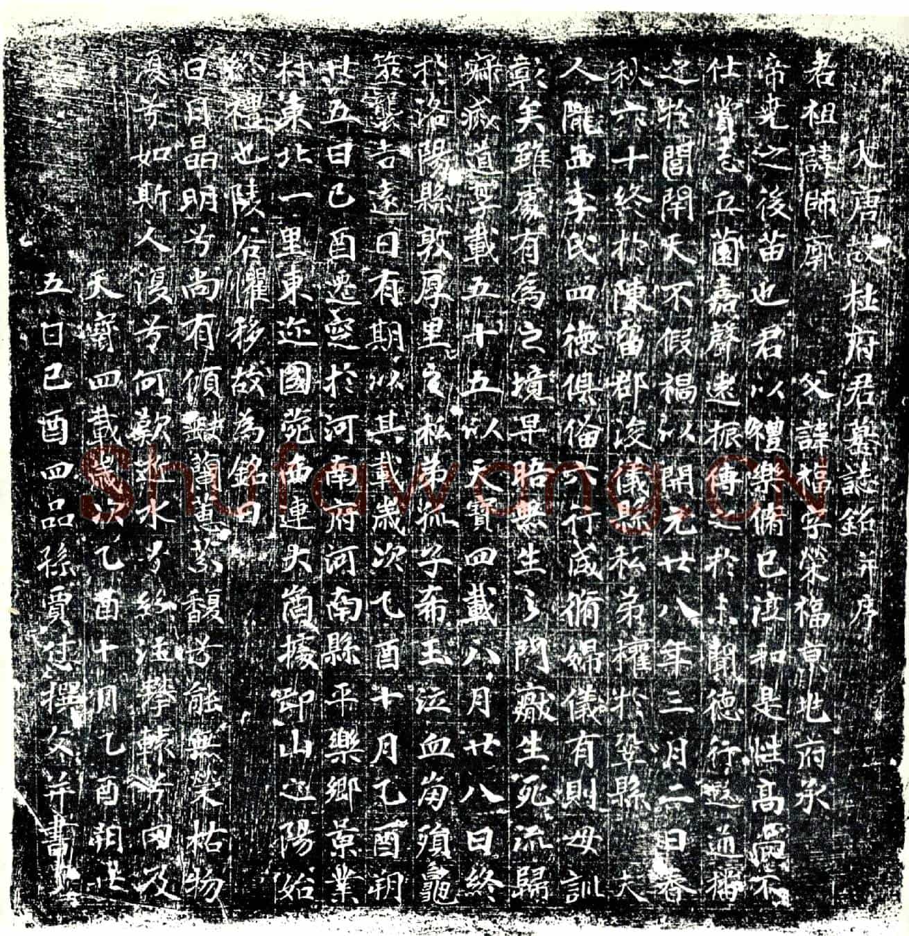唐杜师廓墓誌