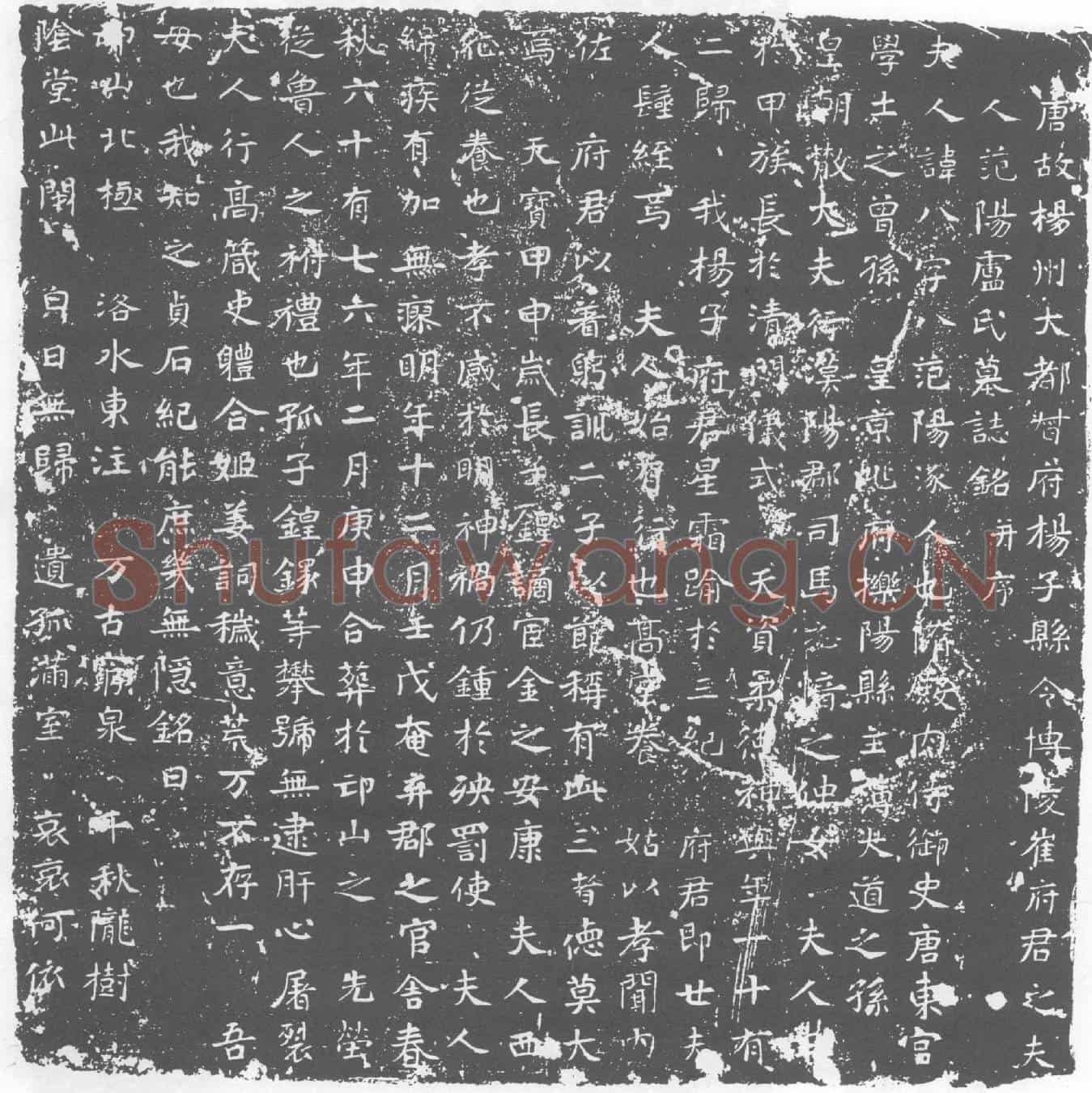 唐卢八墓誌
