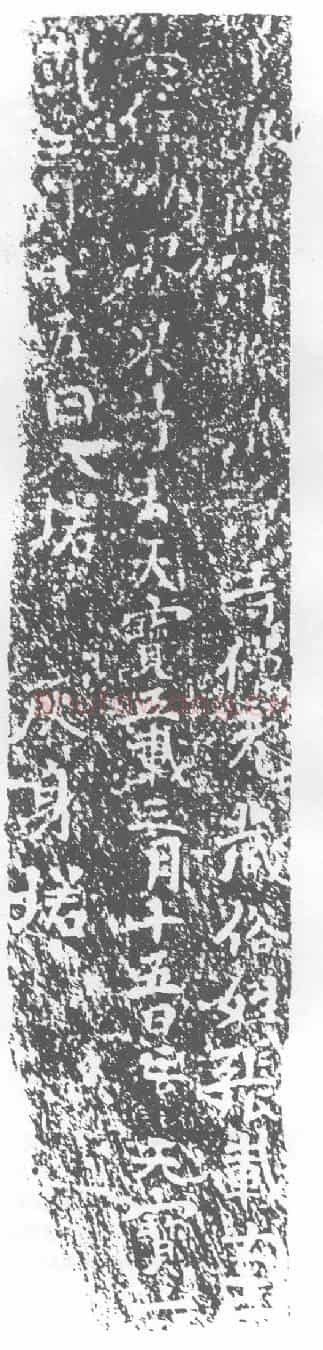 唐清净寺僧元藏，张□墓誌