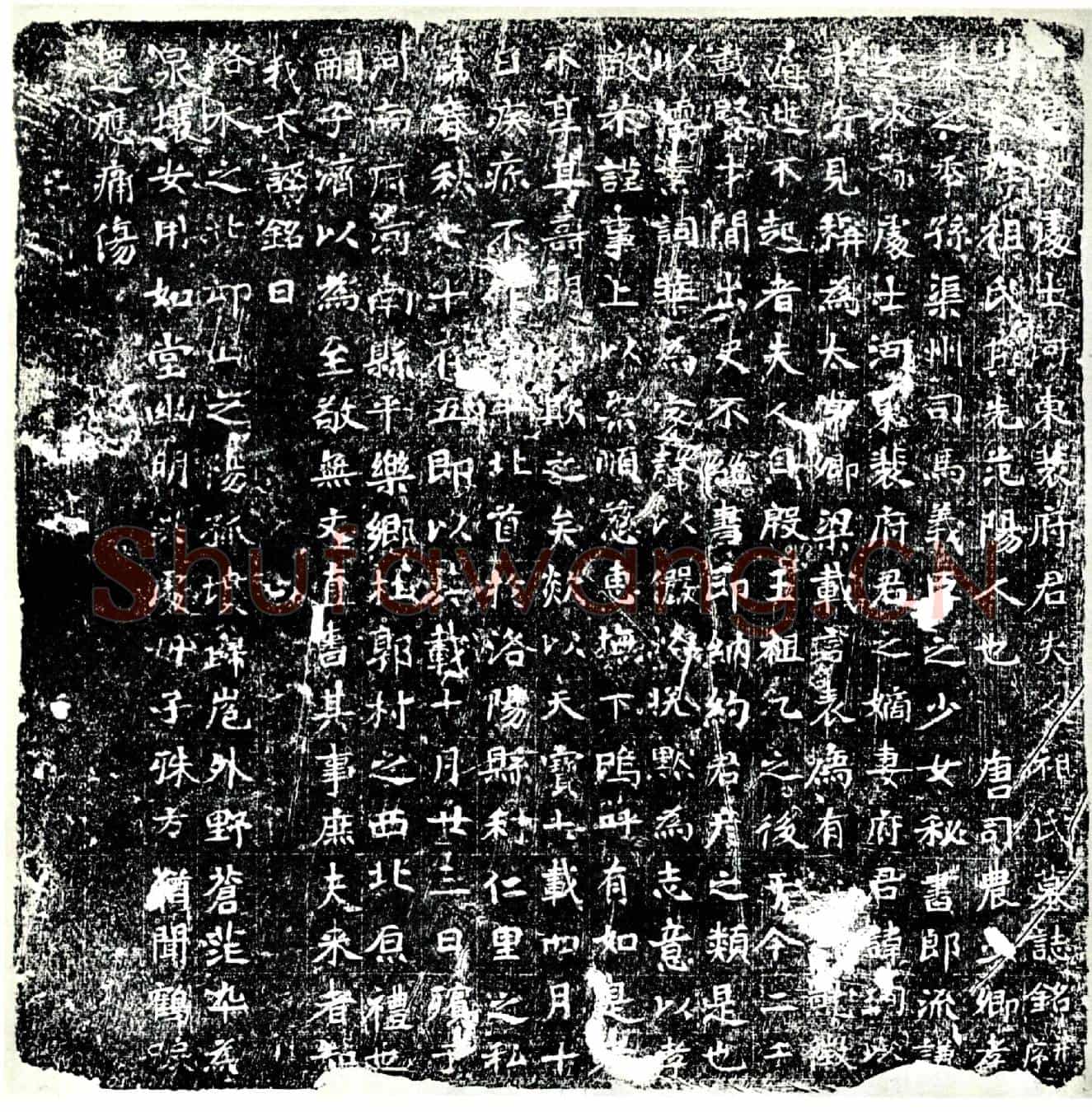 唐祖氏，裴珣妻墓誌