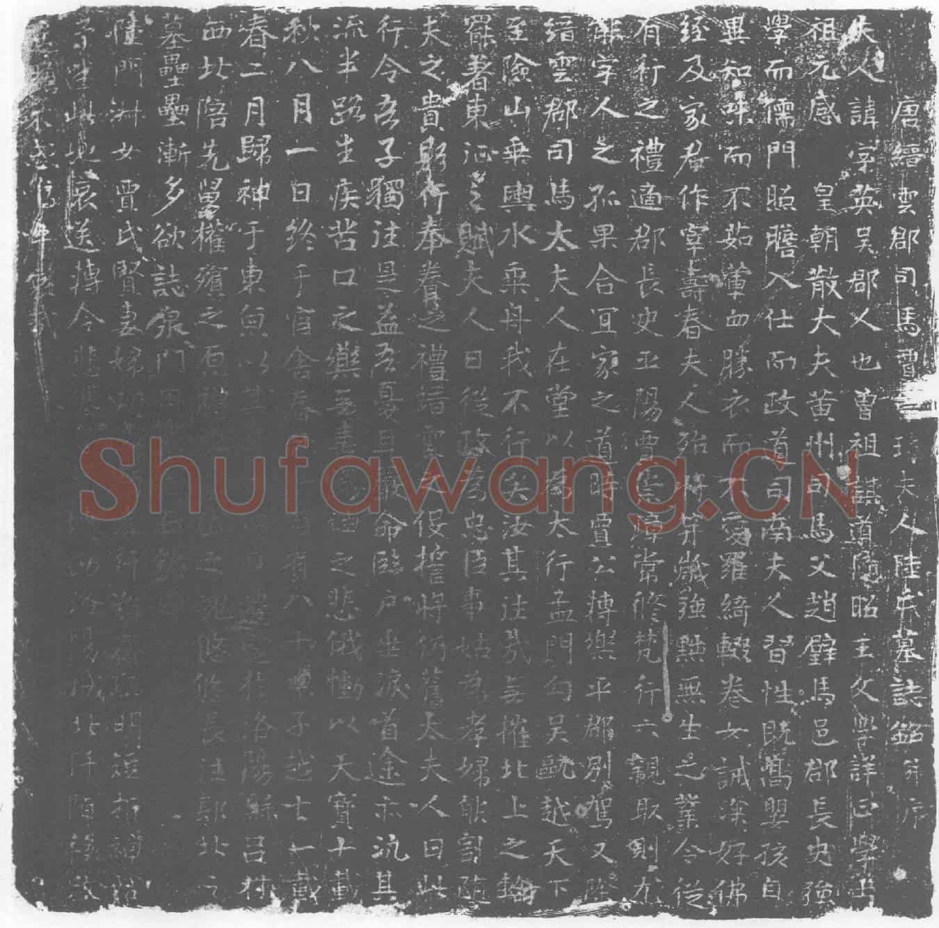 唐陆字英墓誌