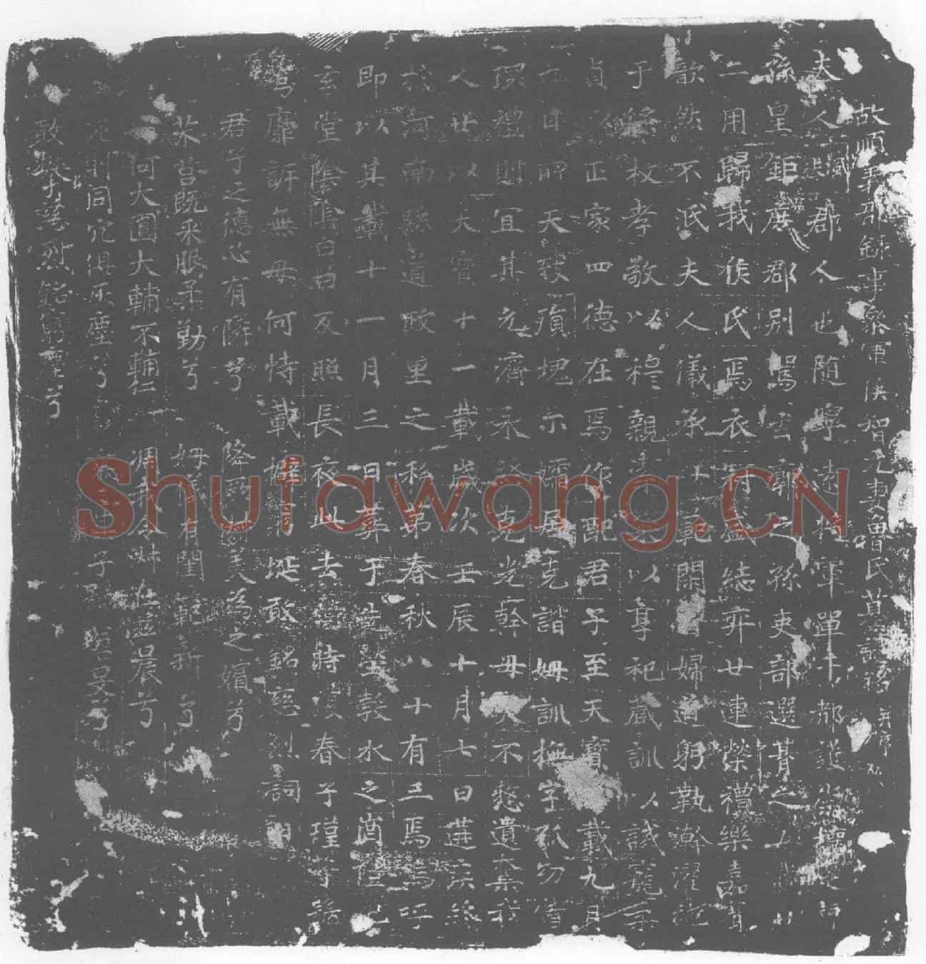 唐鲁氏，侯智元妻墓誌