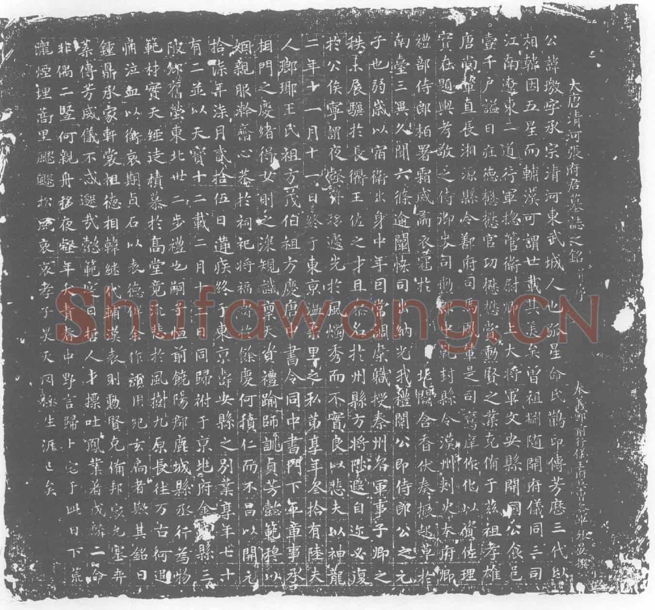 唐张璬及夫人王氏墓誌
