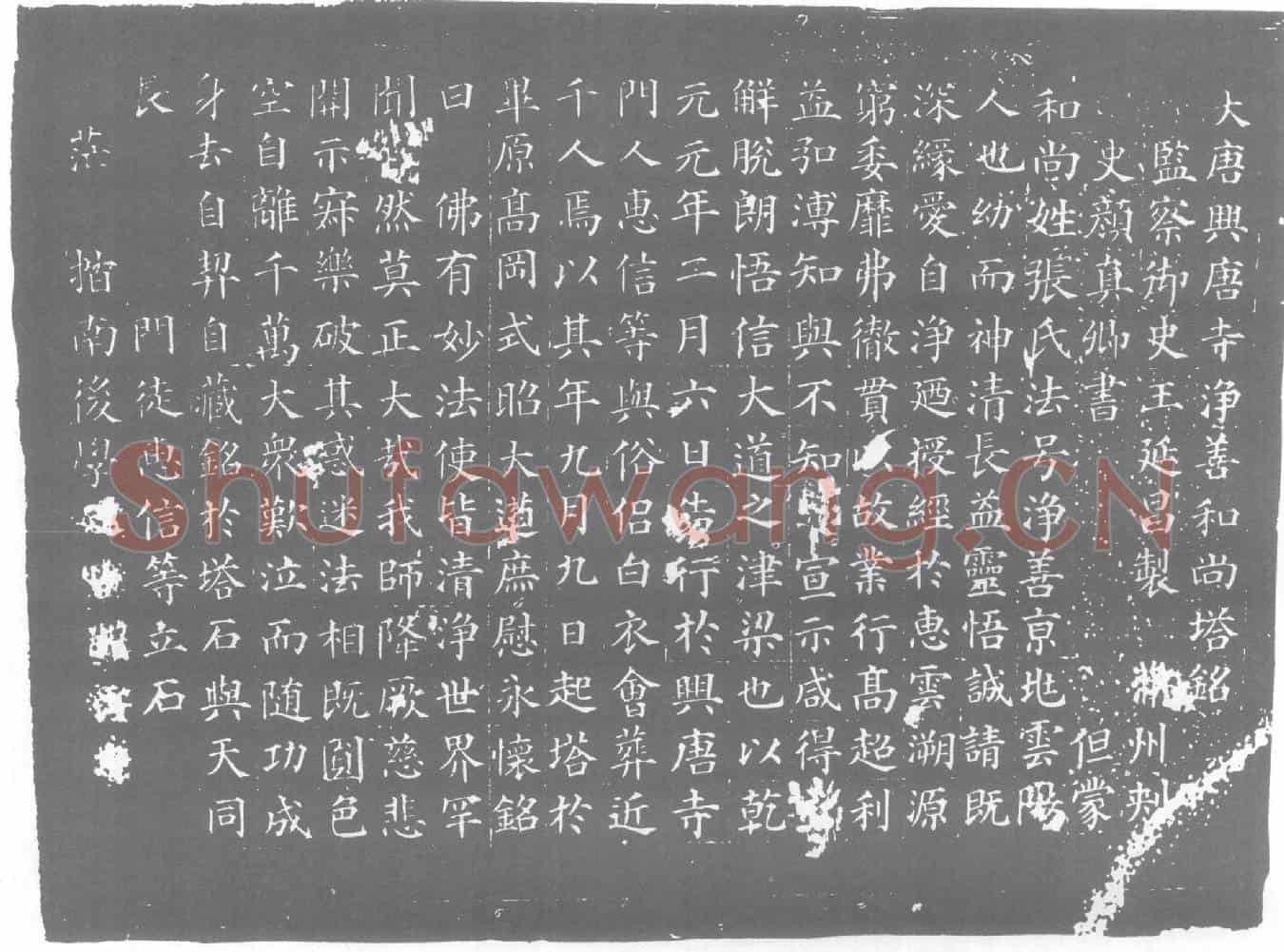 唐张净善，兴唐寺净善和尚墓誌