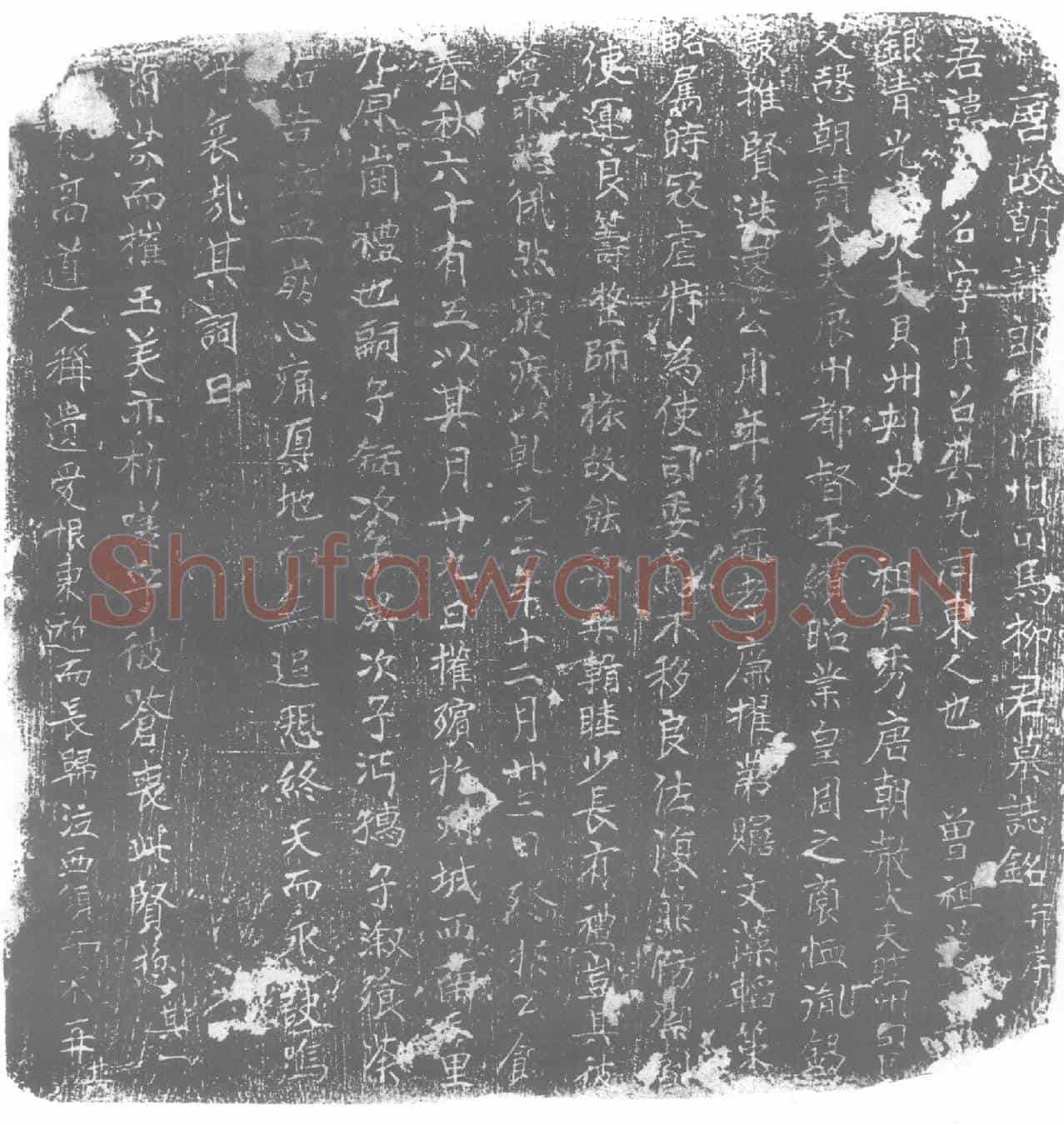 唐柳真召墓誌