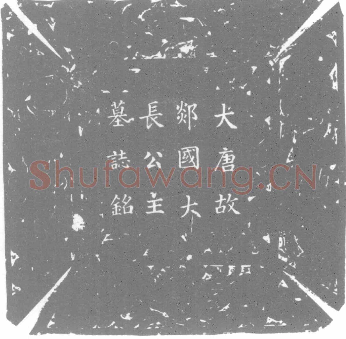 唐郯国大长公主墓誌