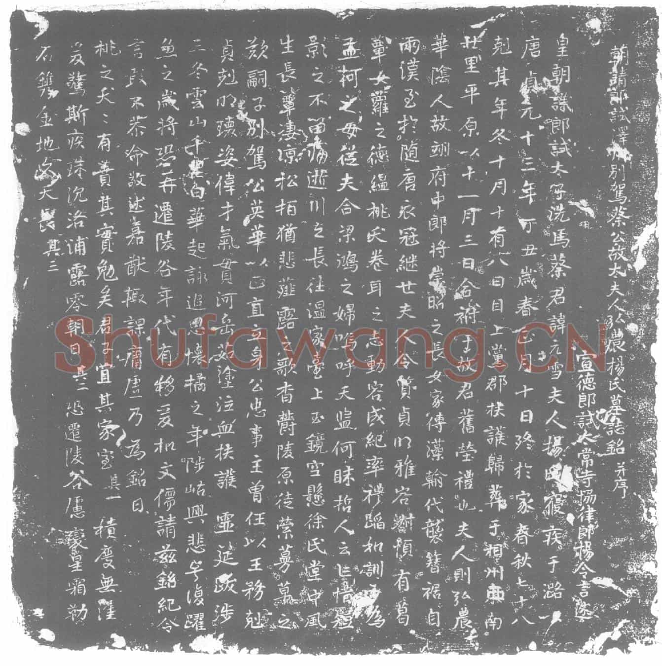唐杨氏墓誌