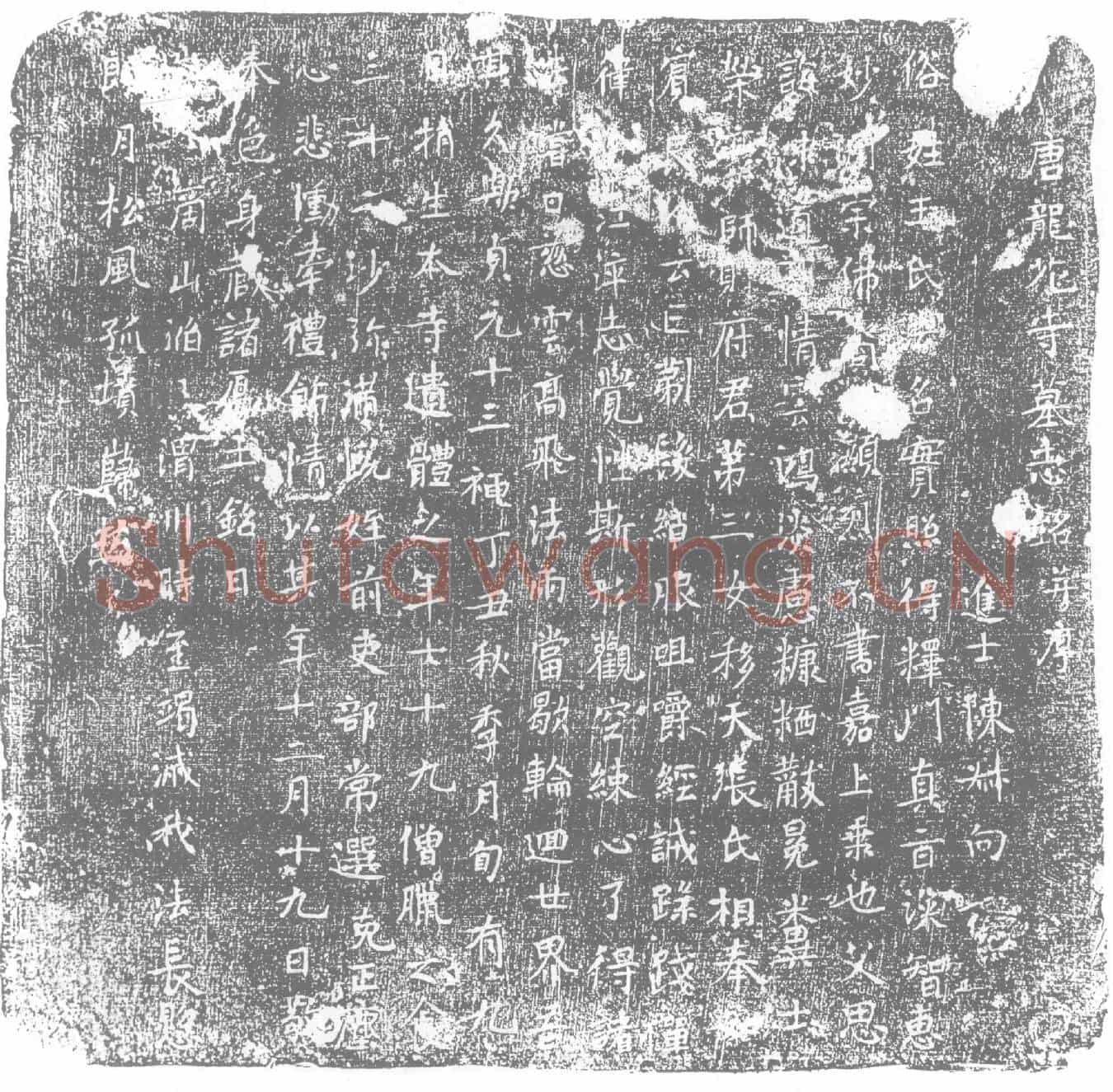 唐王实照墓誌