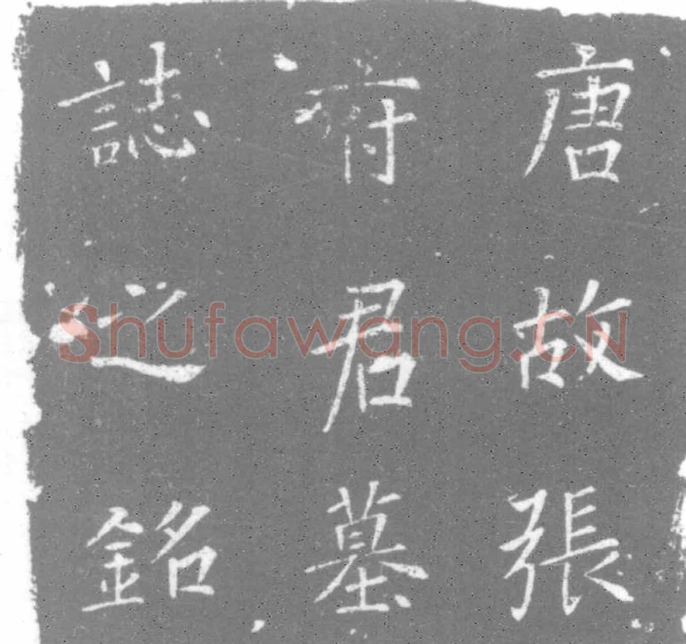 唐张游艺及夫人傅氏墓誌