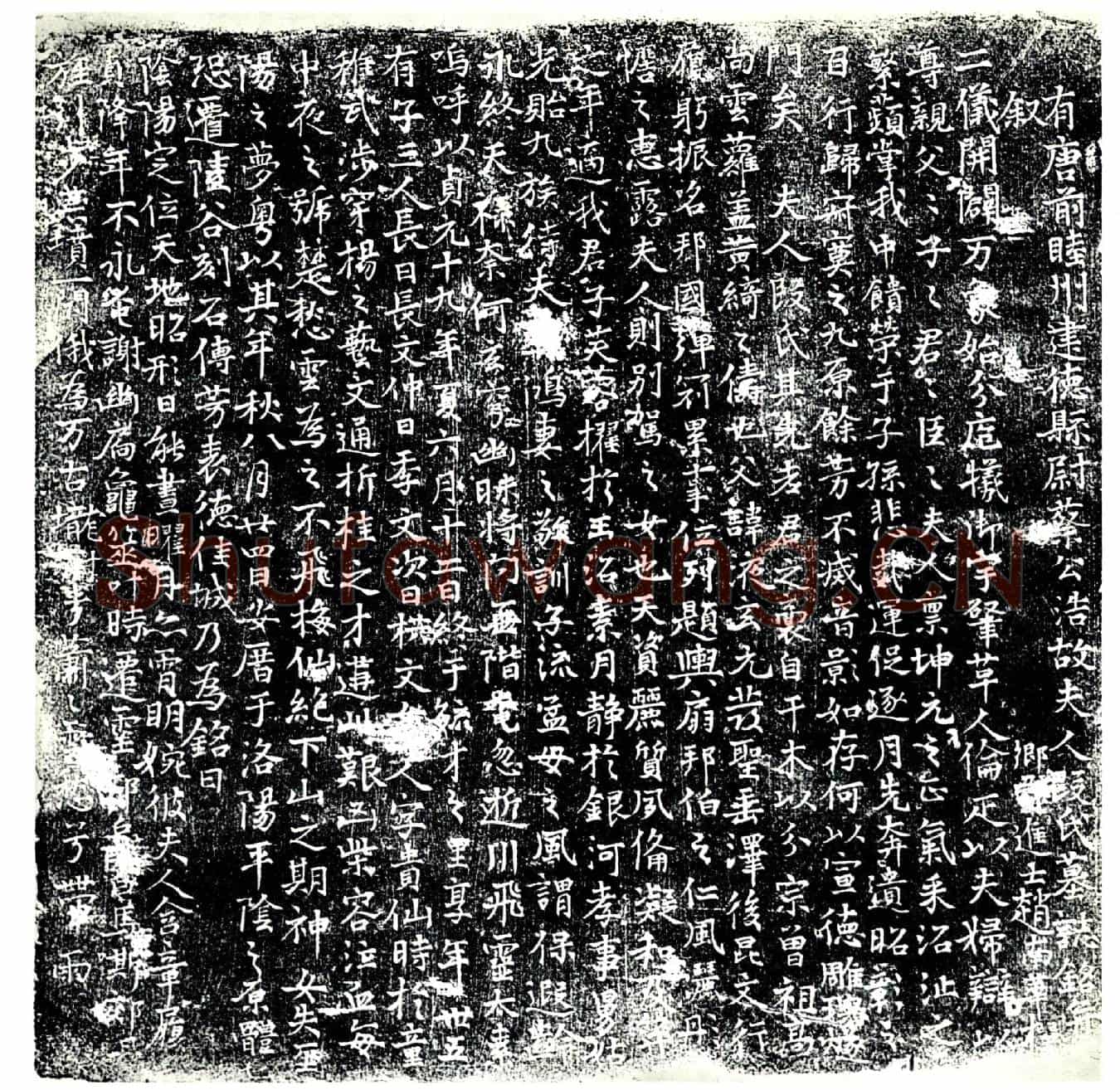 唐段氏，蔡公浩夫人墓誌